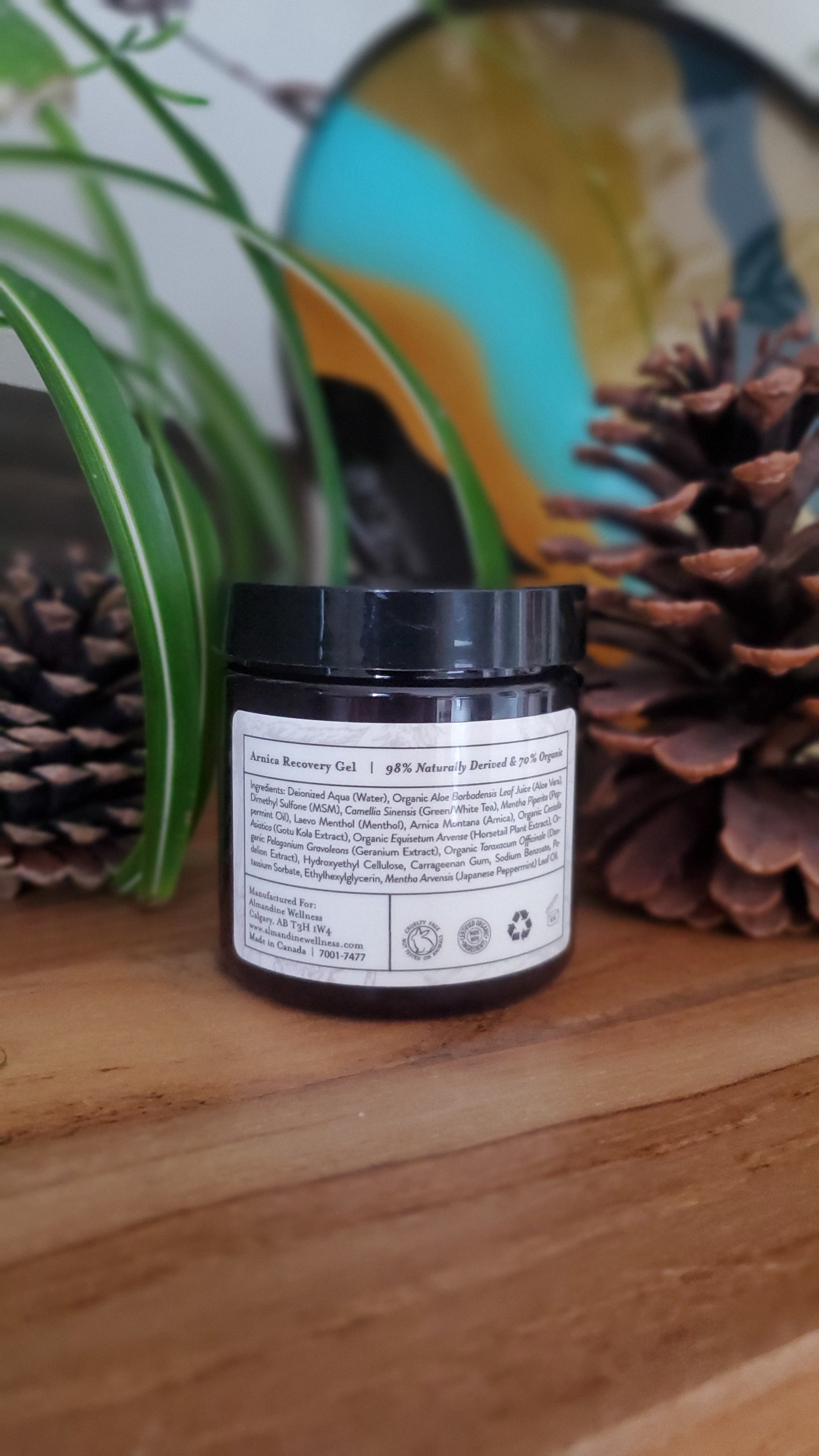 Arnica Recovery Gel.jpeg
