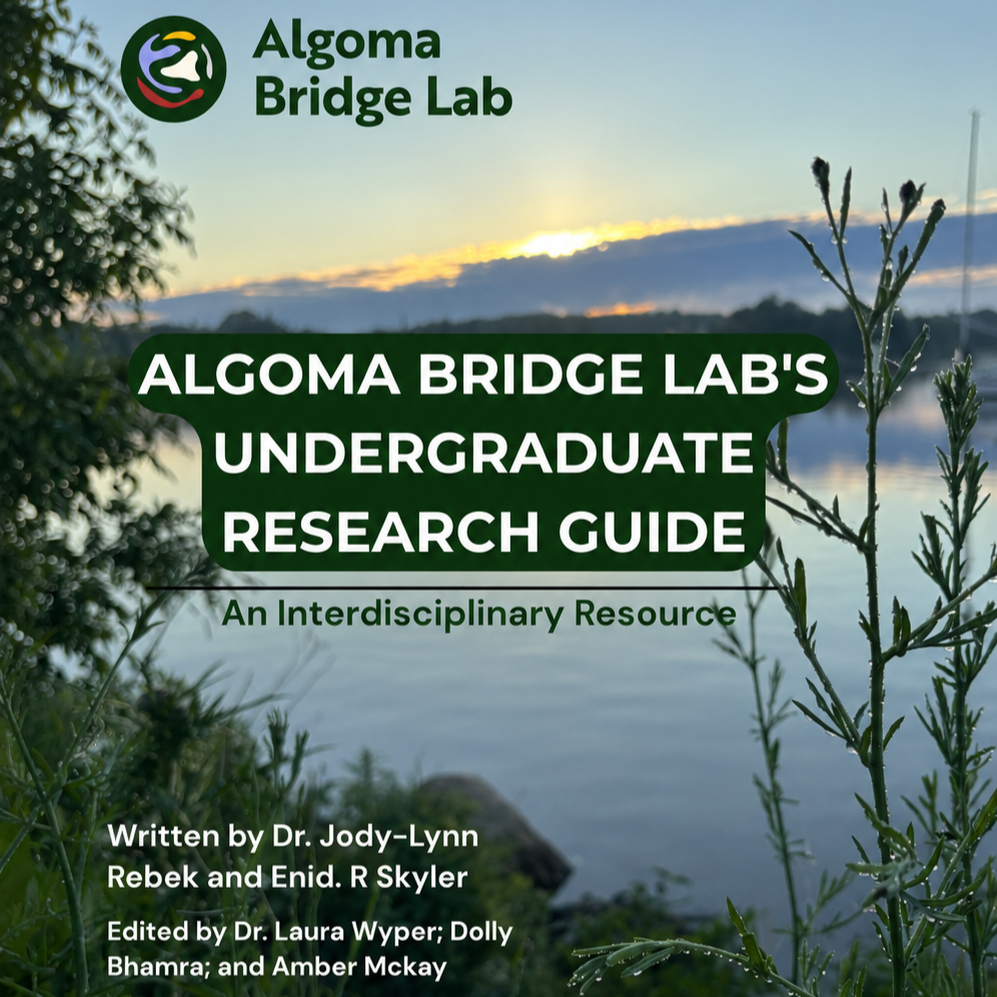 Algoma BRIDGE Lab's Undergraduate Research Guide: An Interdisciplinary Resource