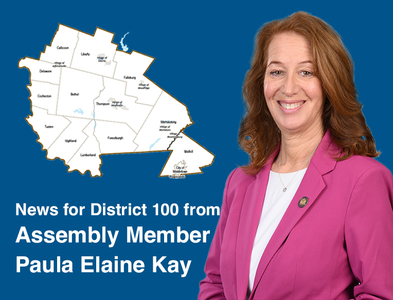 Assembly Member Paula Elaine Kay Appointed to Environmental Conservation Committee