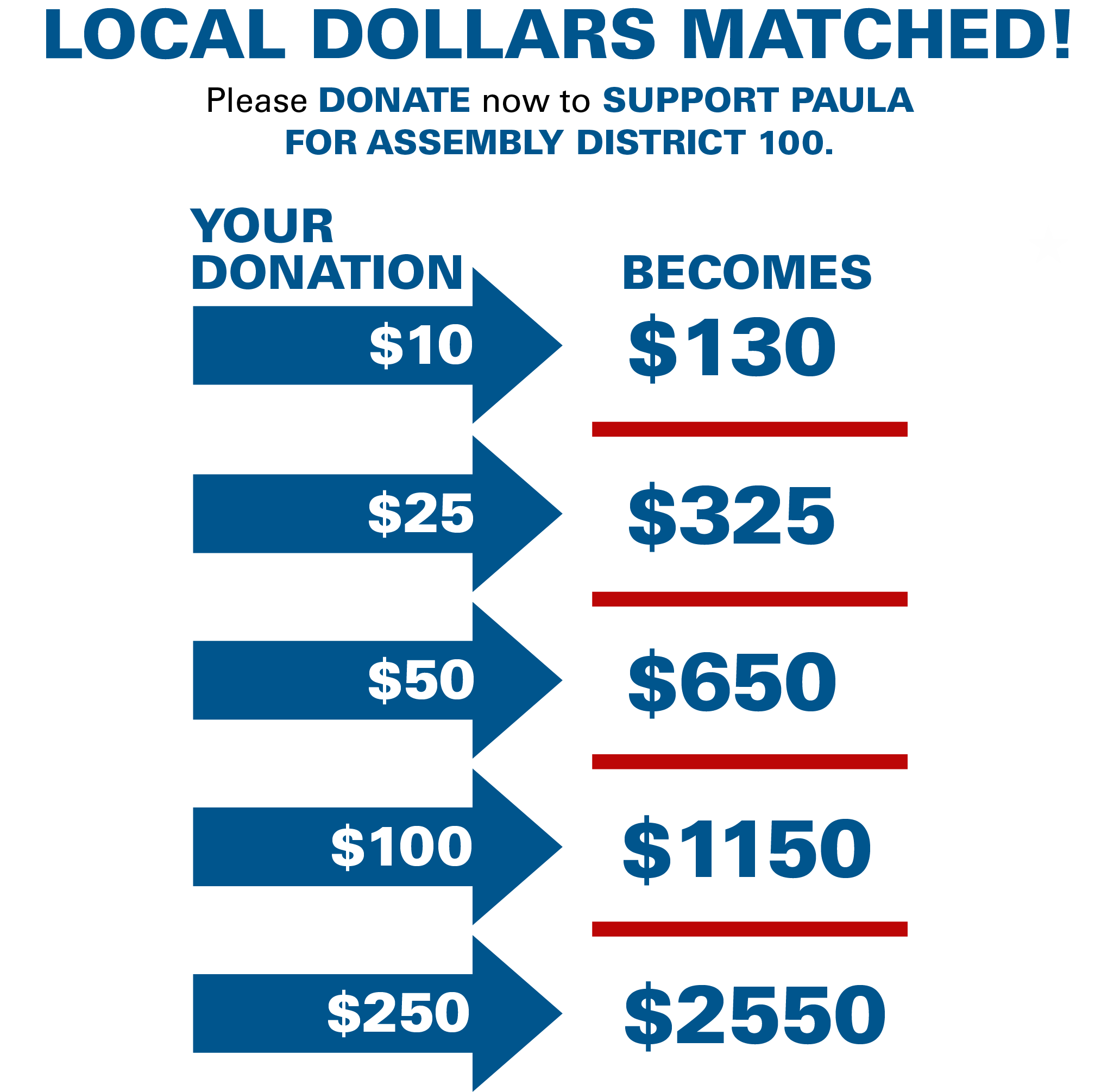 Vote Paula Kay NY Assembly 100 vote-paula-kay-ny-assembly-100