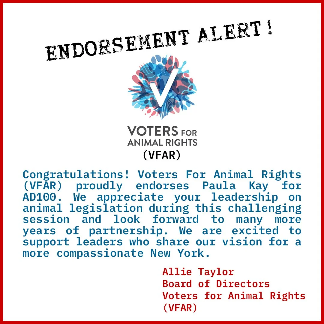 260603 VFAR copy.jpg
