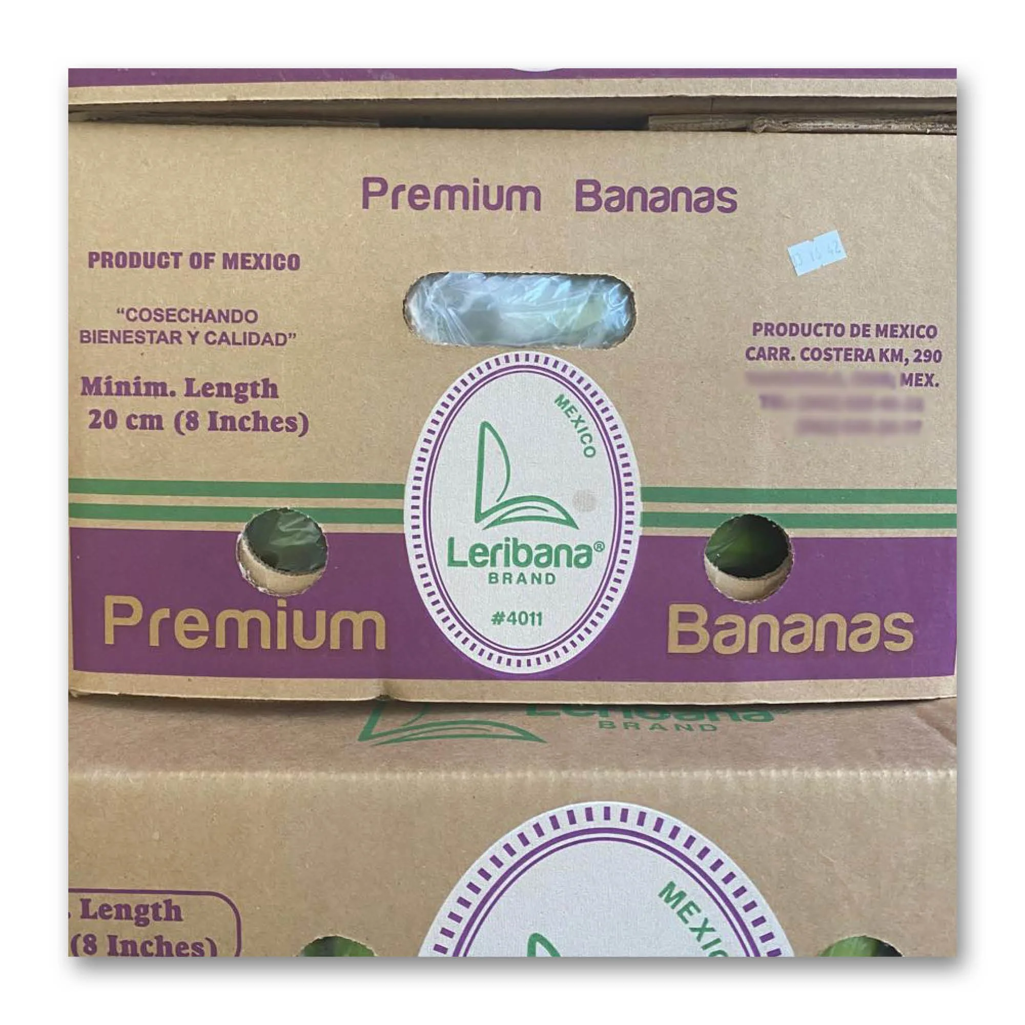 portfolio logo ex.jpg