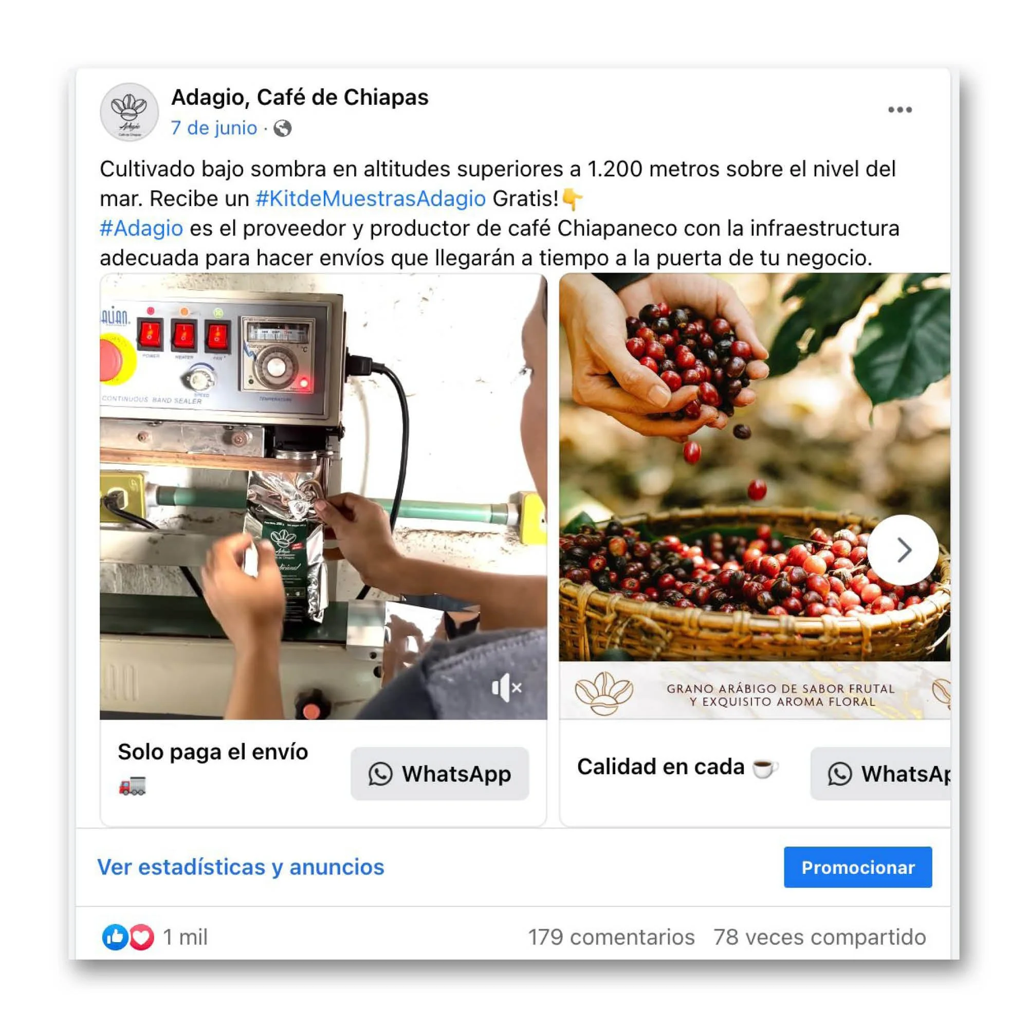 portfolio meta campaign ex.jpg