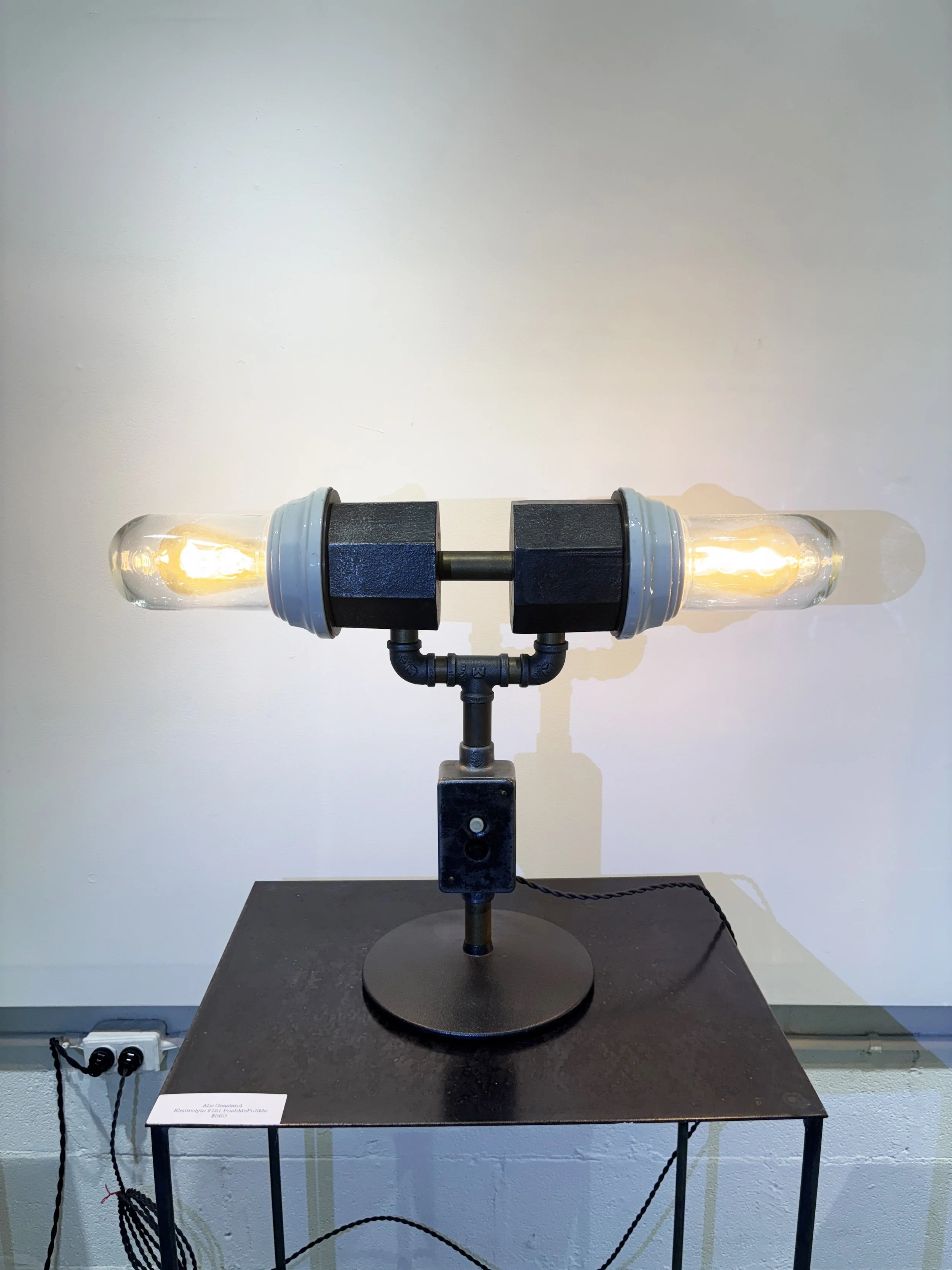 Abe Geasland 
Electrolyte #121 PushMePullMe  $550