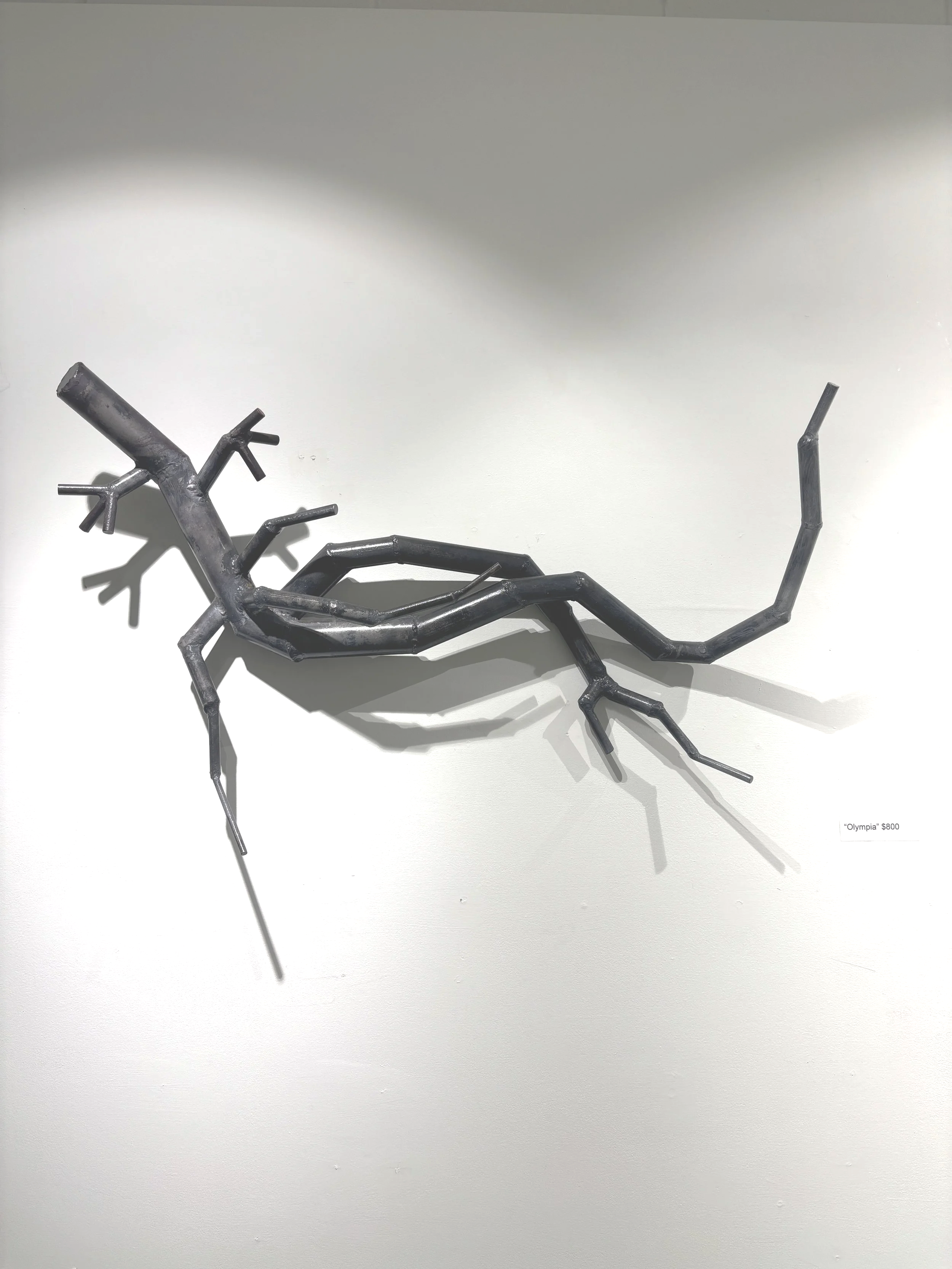 "Olimpia" $800