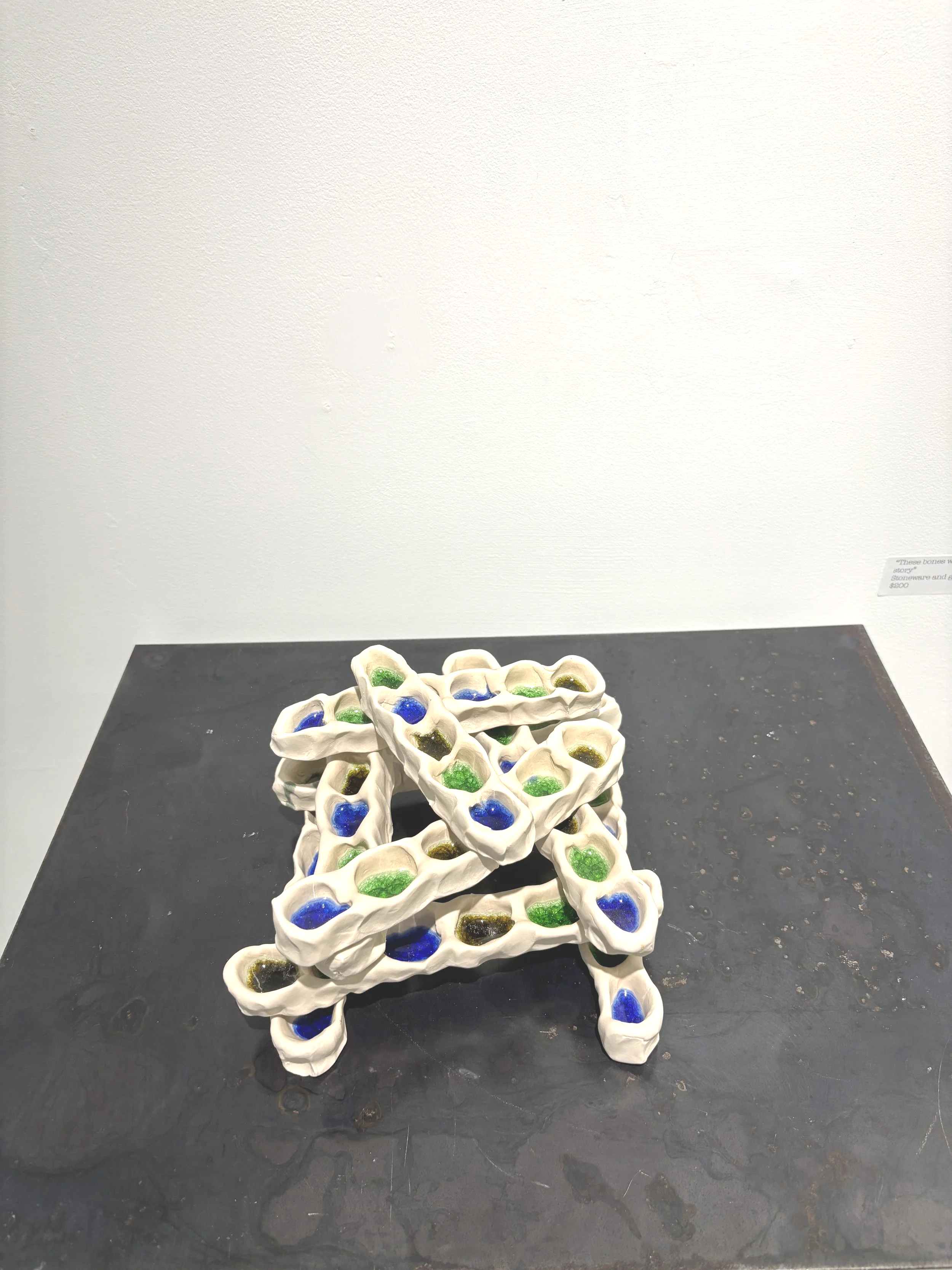 "These bones will tell your story" $200