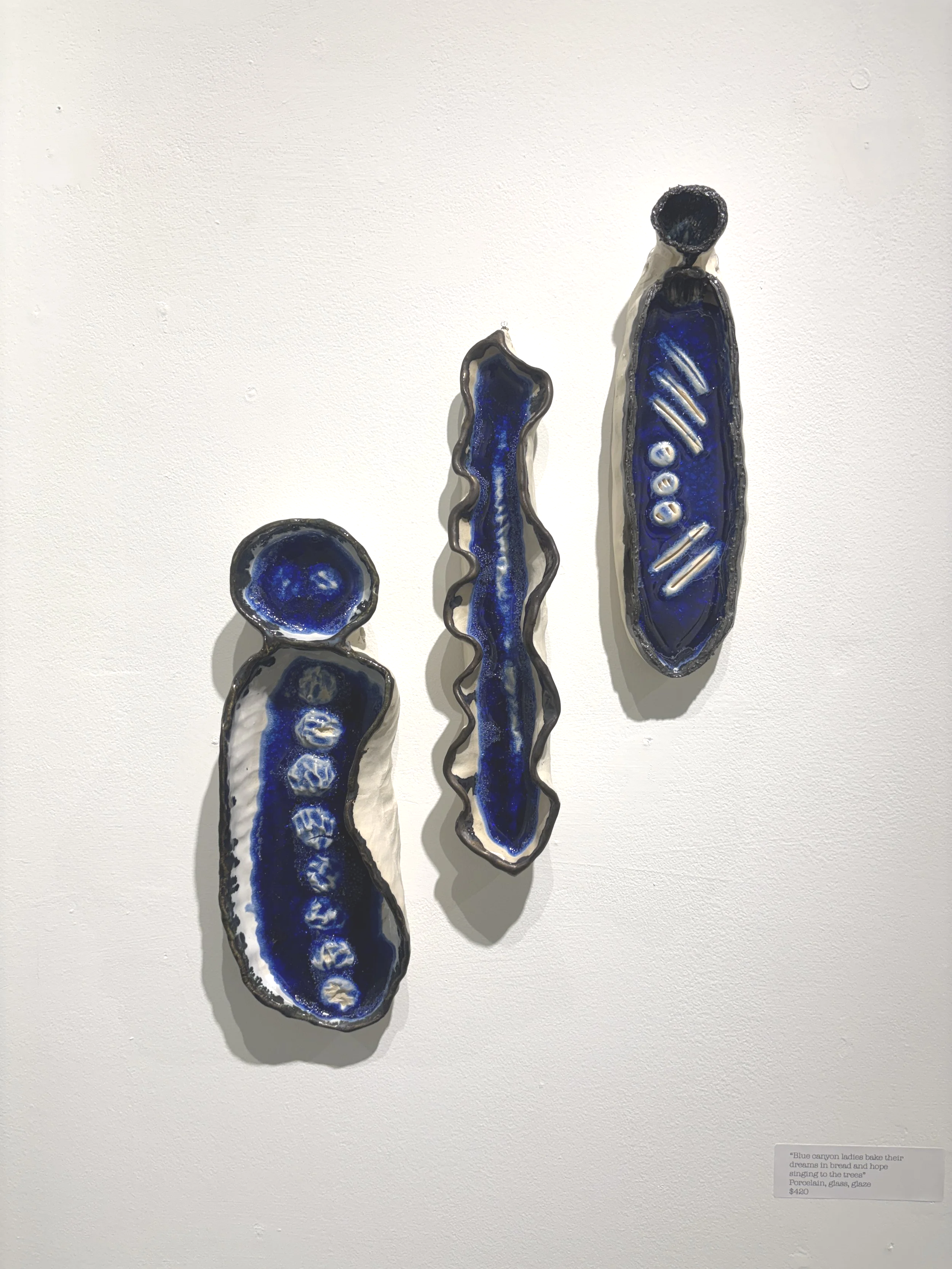 "Blue canyon ladies bake their dreams in bread and hope singing to the trees" $420