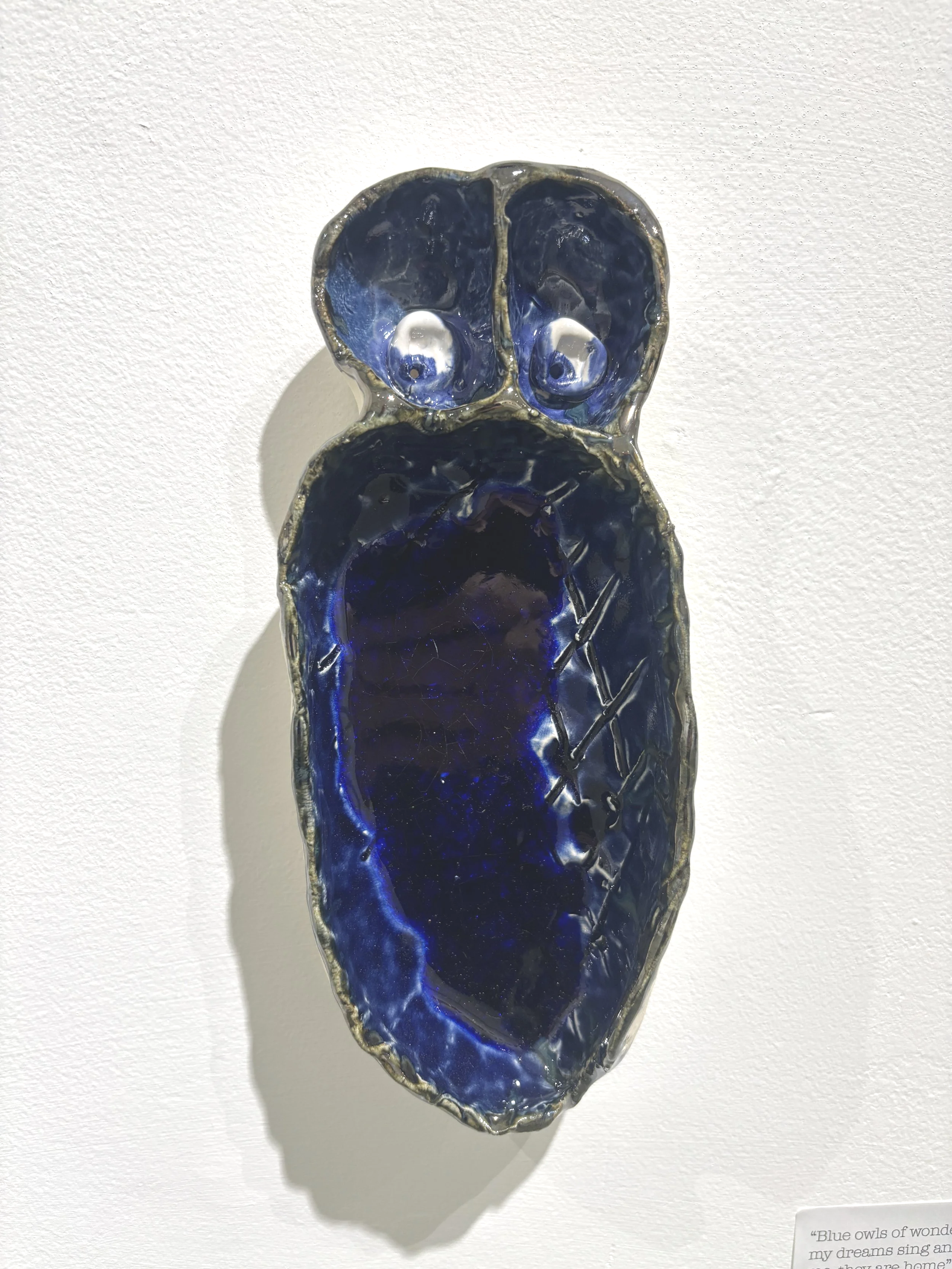 "Blue owls of wonder they make my dreams sing and dance. To me they are home" $200 each