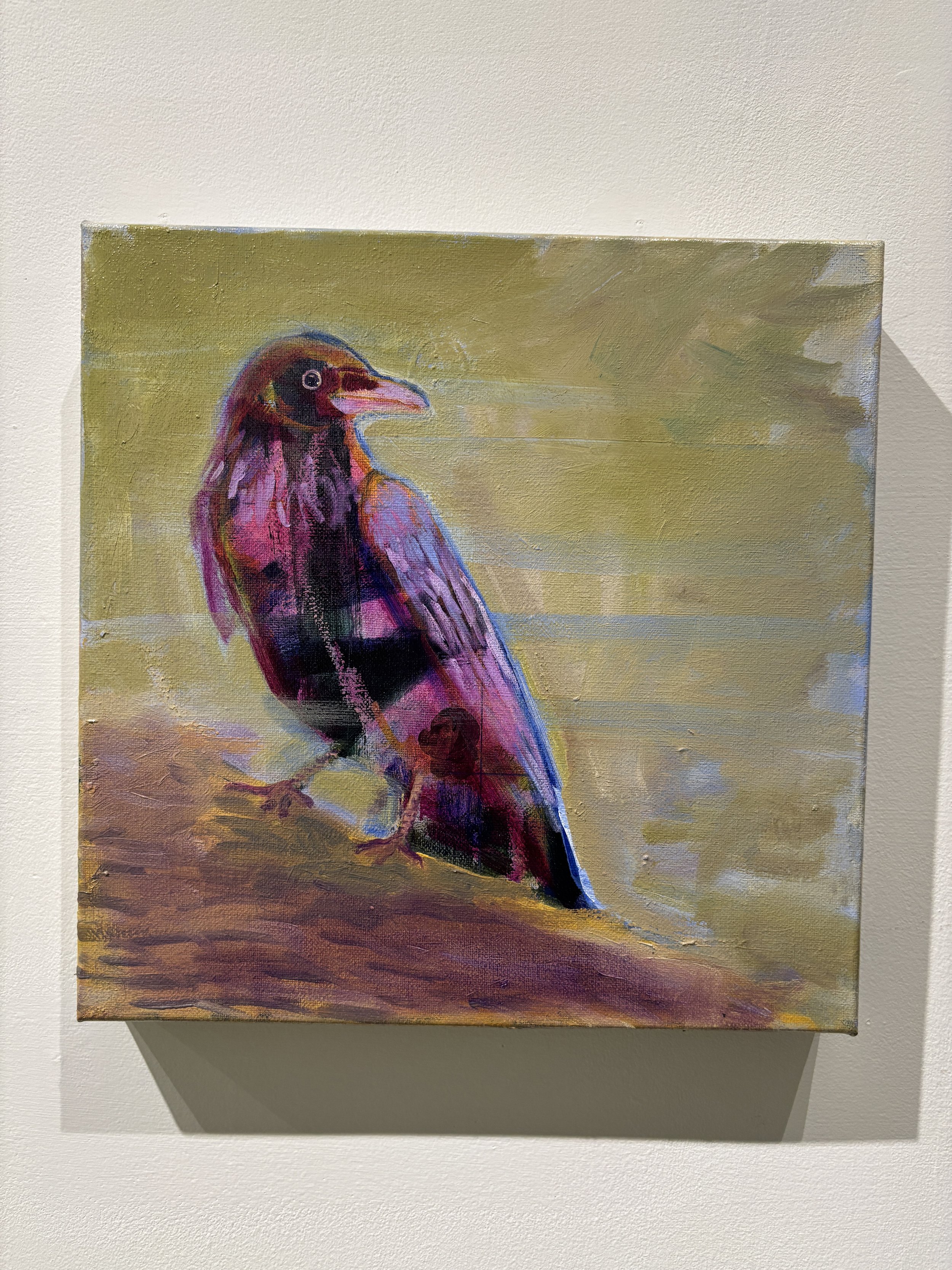 "Rooftop Sentry" $300 sold
12x12