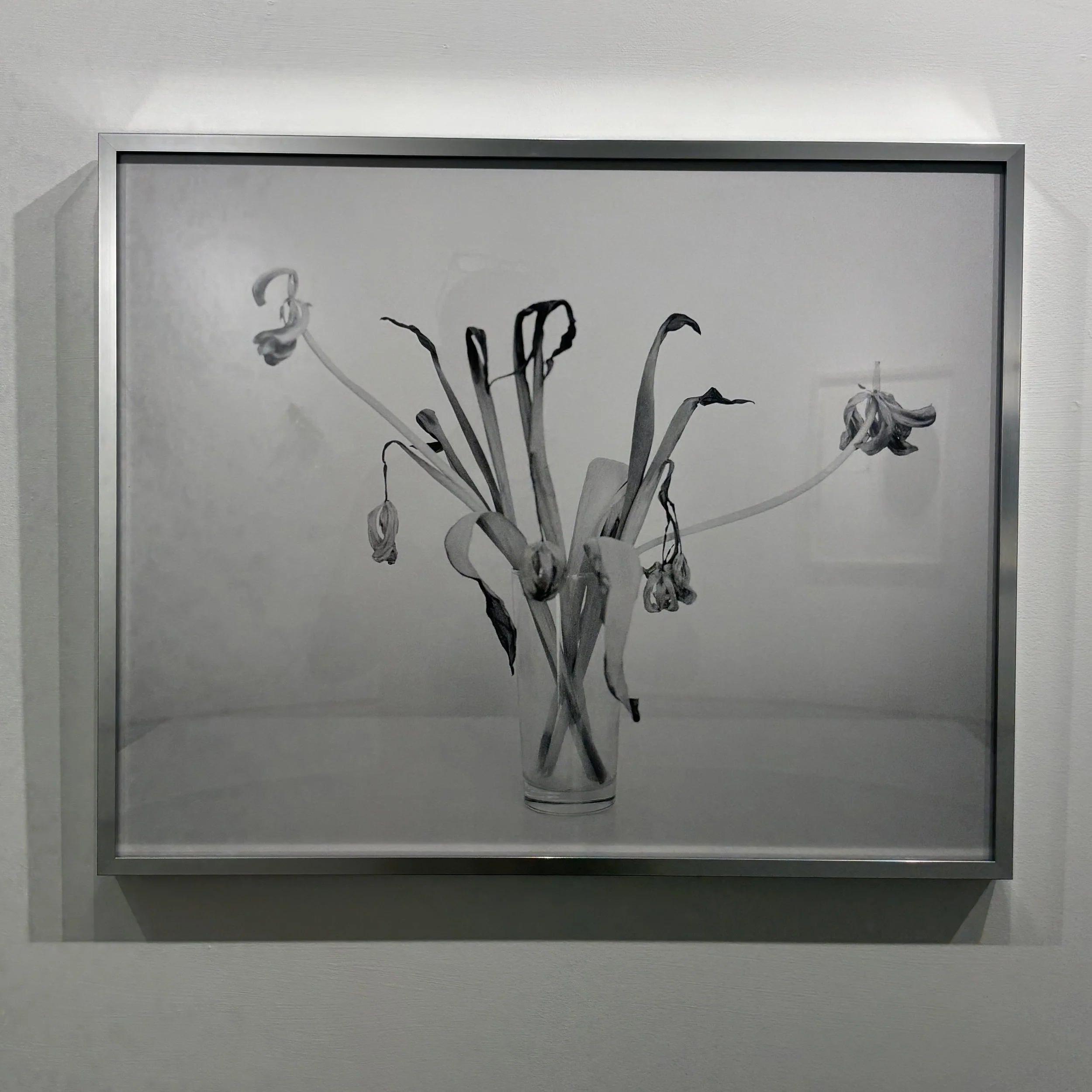 "Bedside Flowers" IV, New Orleans LA" by Allison Beonde POR