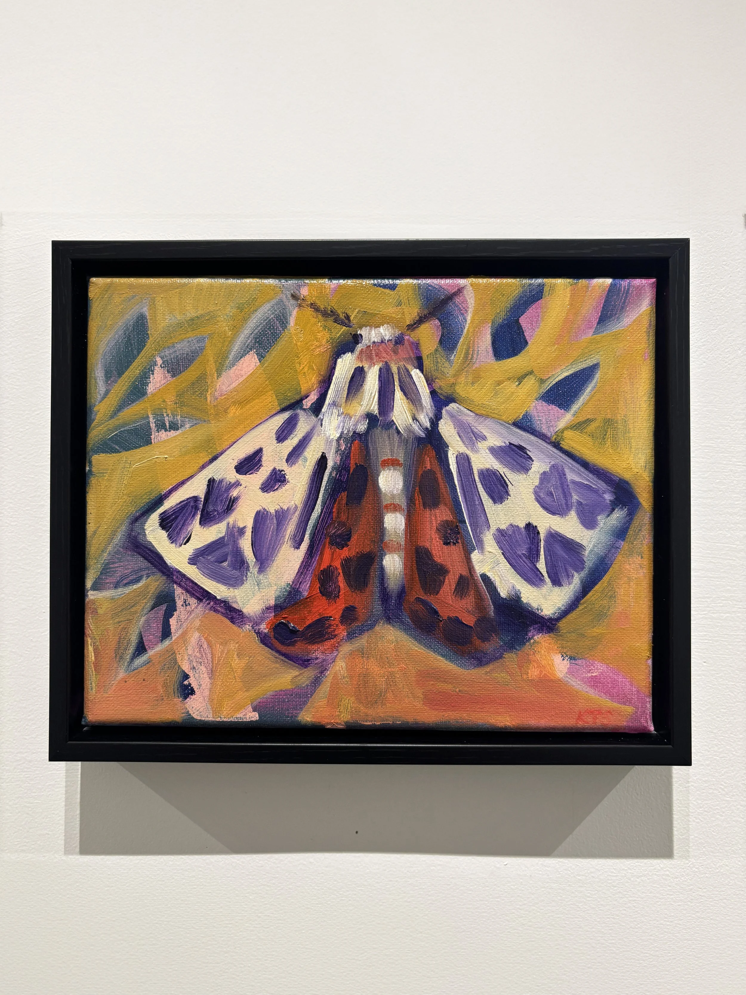 "Tiger Moth" $200
8x10