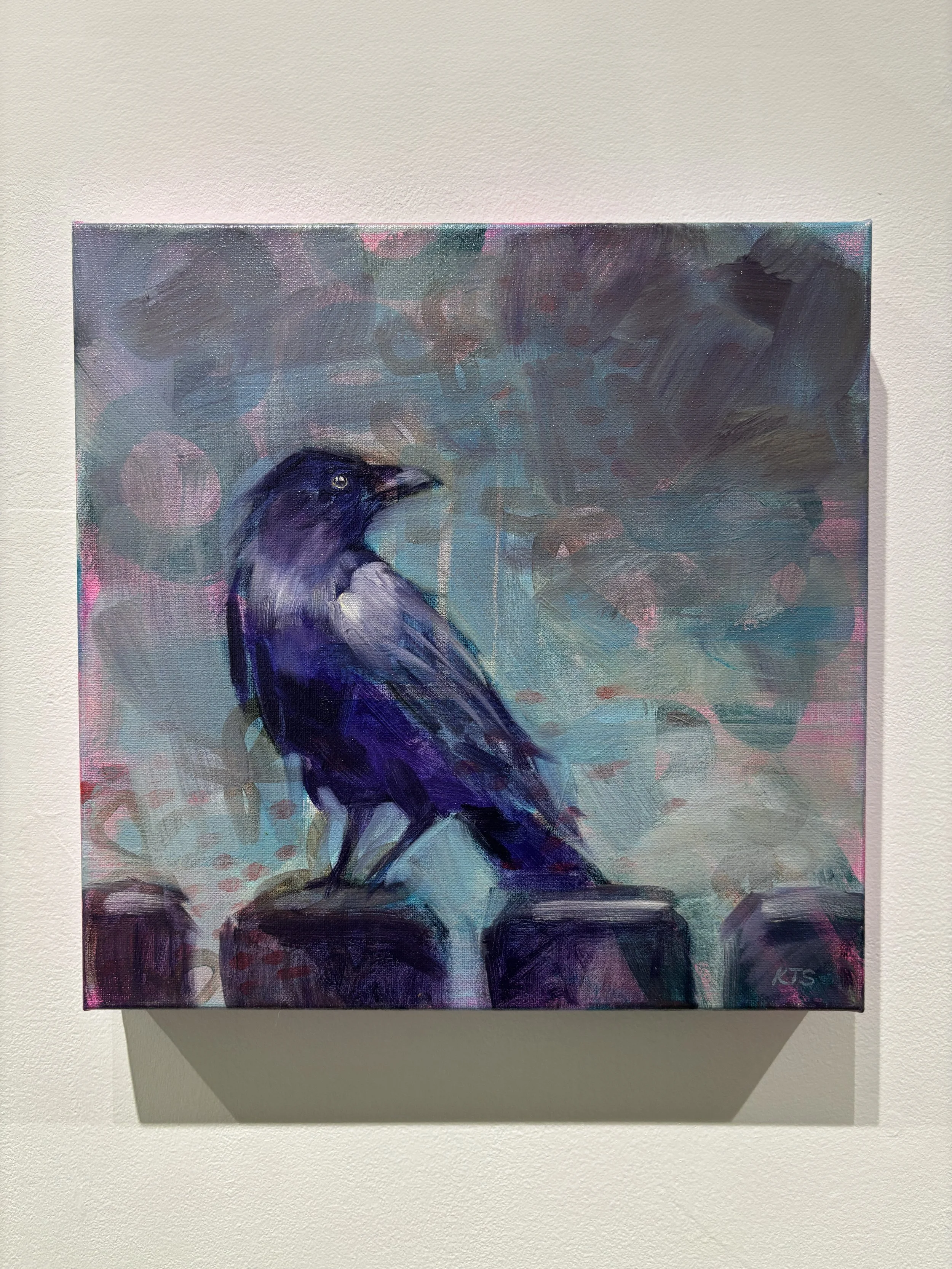 "Sara's Crow" $300 sold 
12x12
