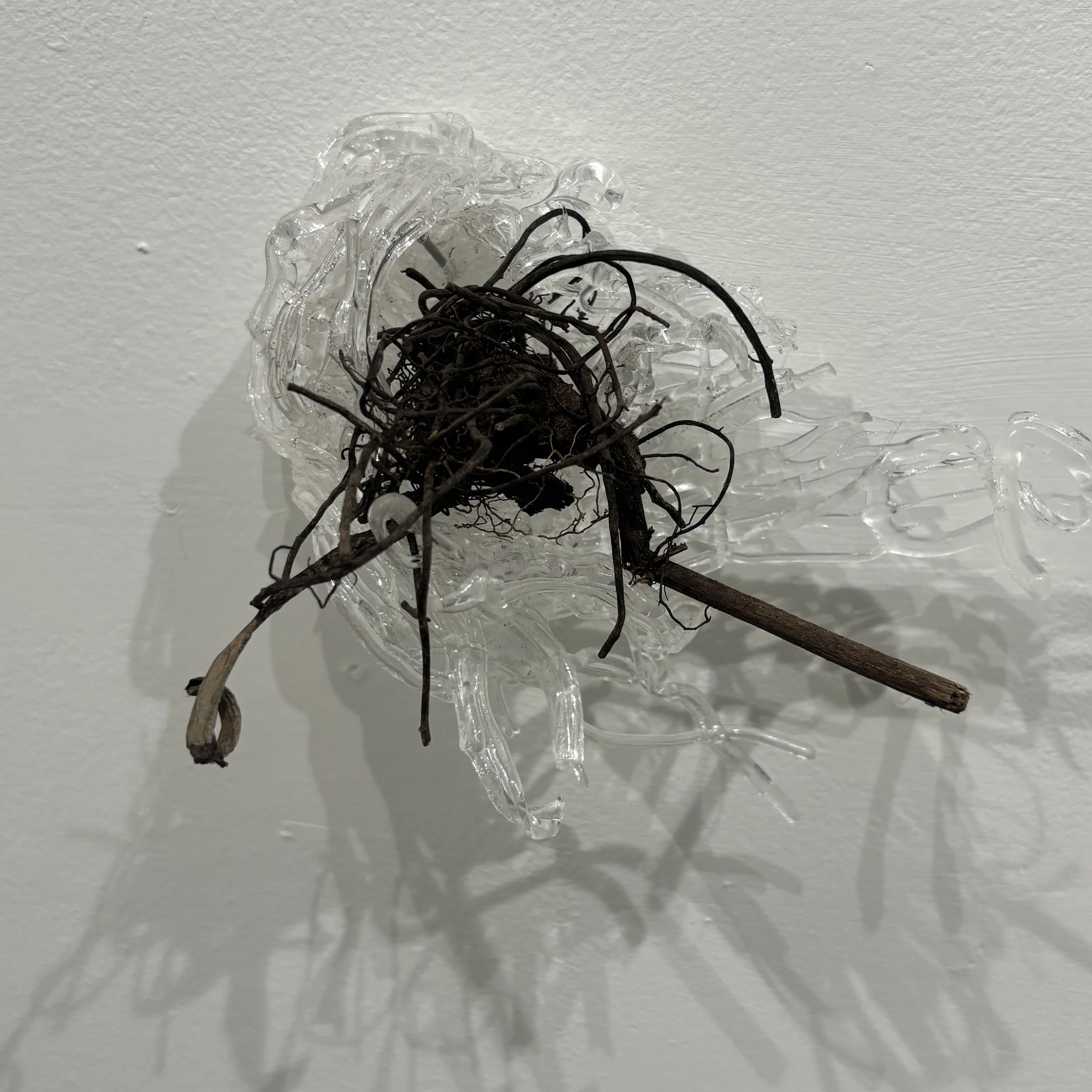 "Black Cohosh Wall Weave" by Caitlin Ezell Waugh $225