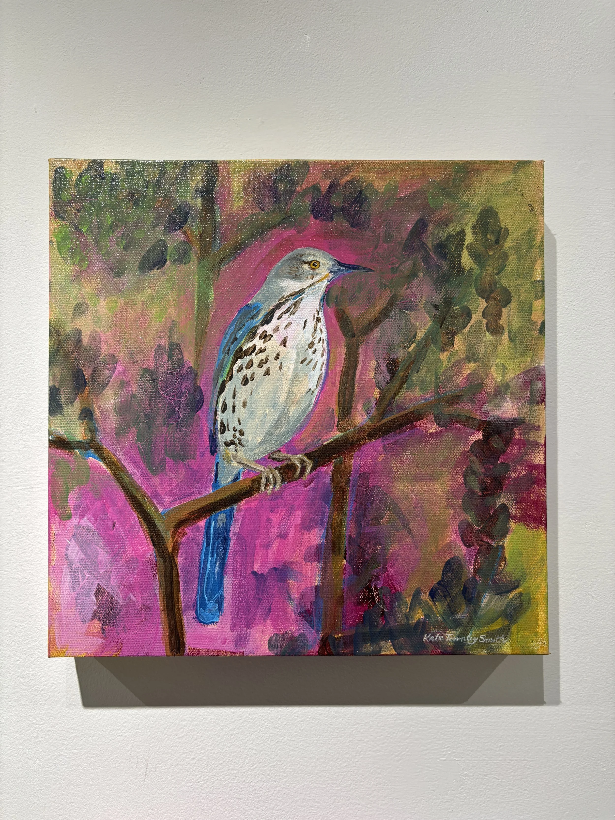 "Blue Brown Thrasher" $300 sold
12x12