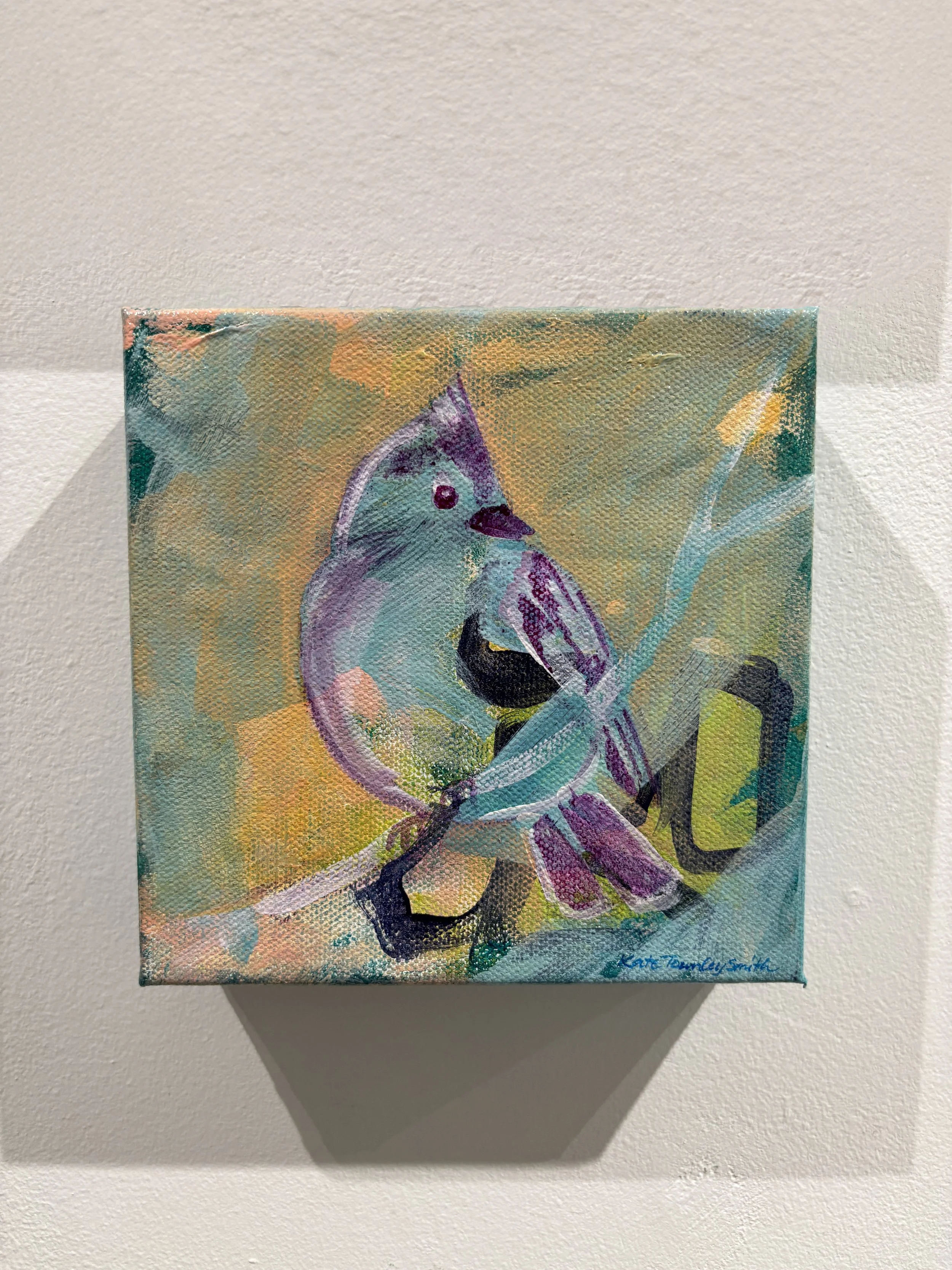"Tufted Titmouse" $125 sold
6x6