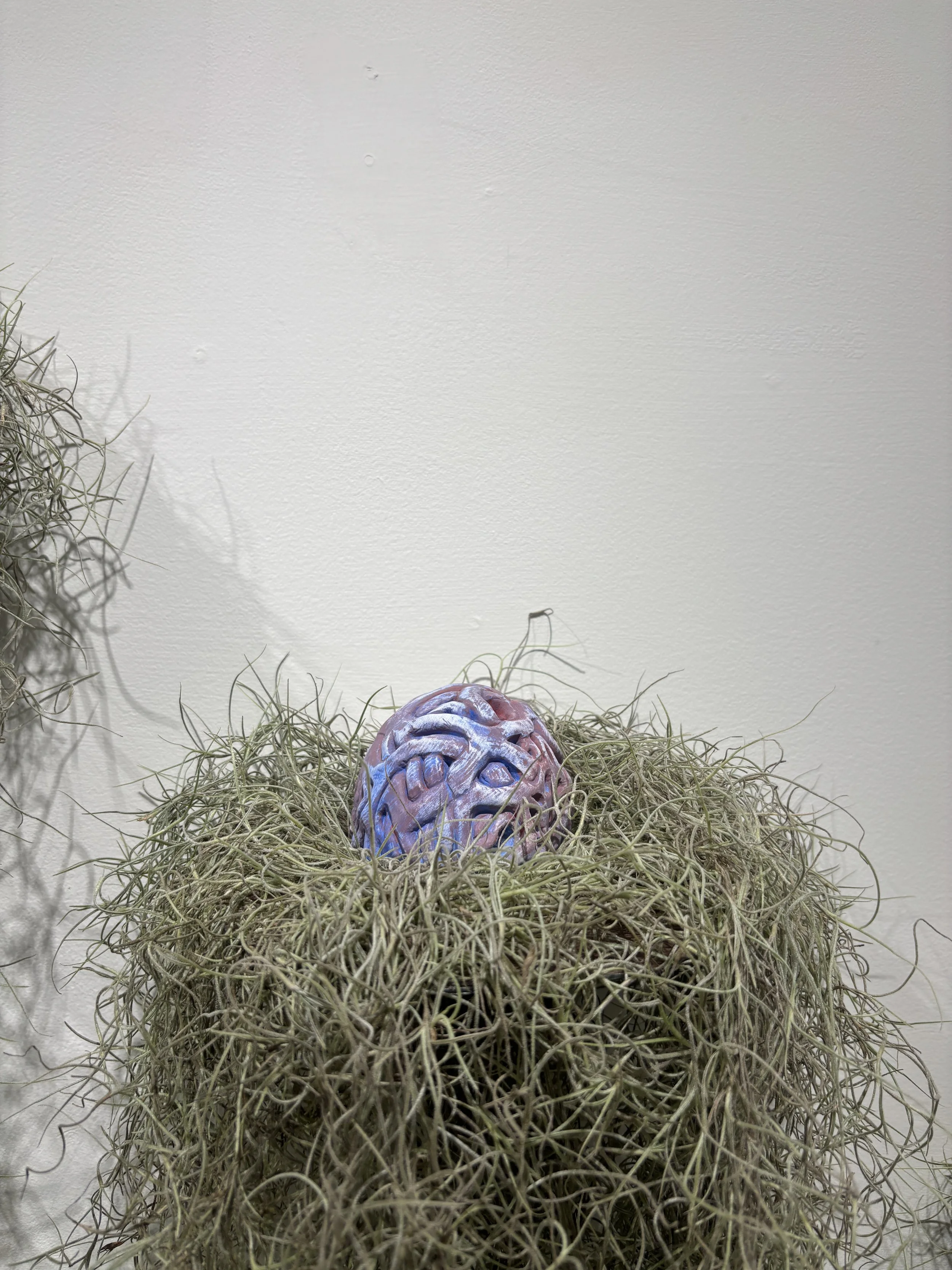 "Dream Anemone" $200