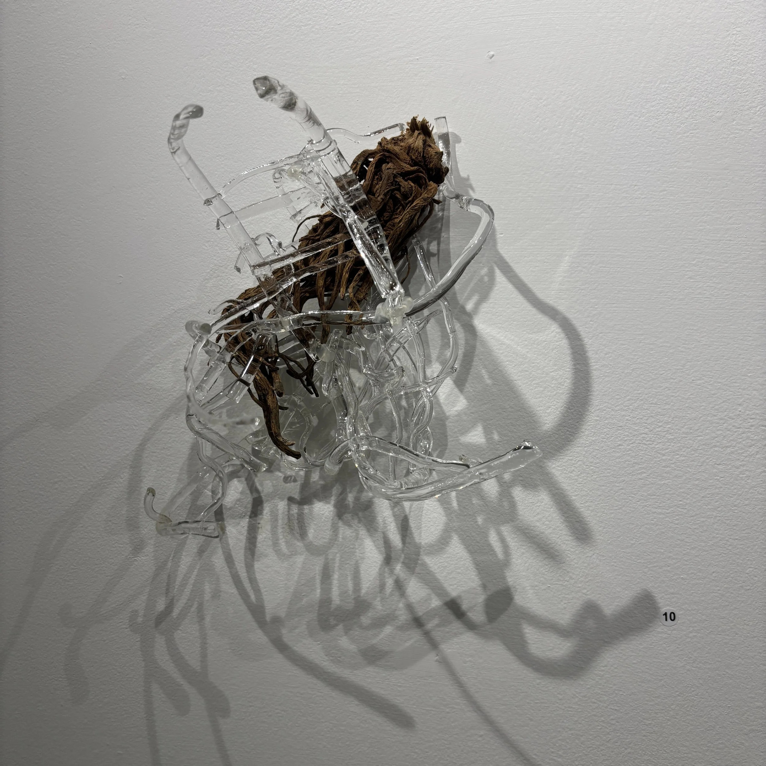 "Angelica WallWeave" Aug '25 "Loud Voids and Screaming Silences" by Caitlin Ezell Waugh $275