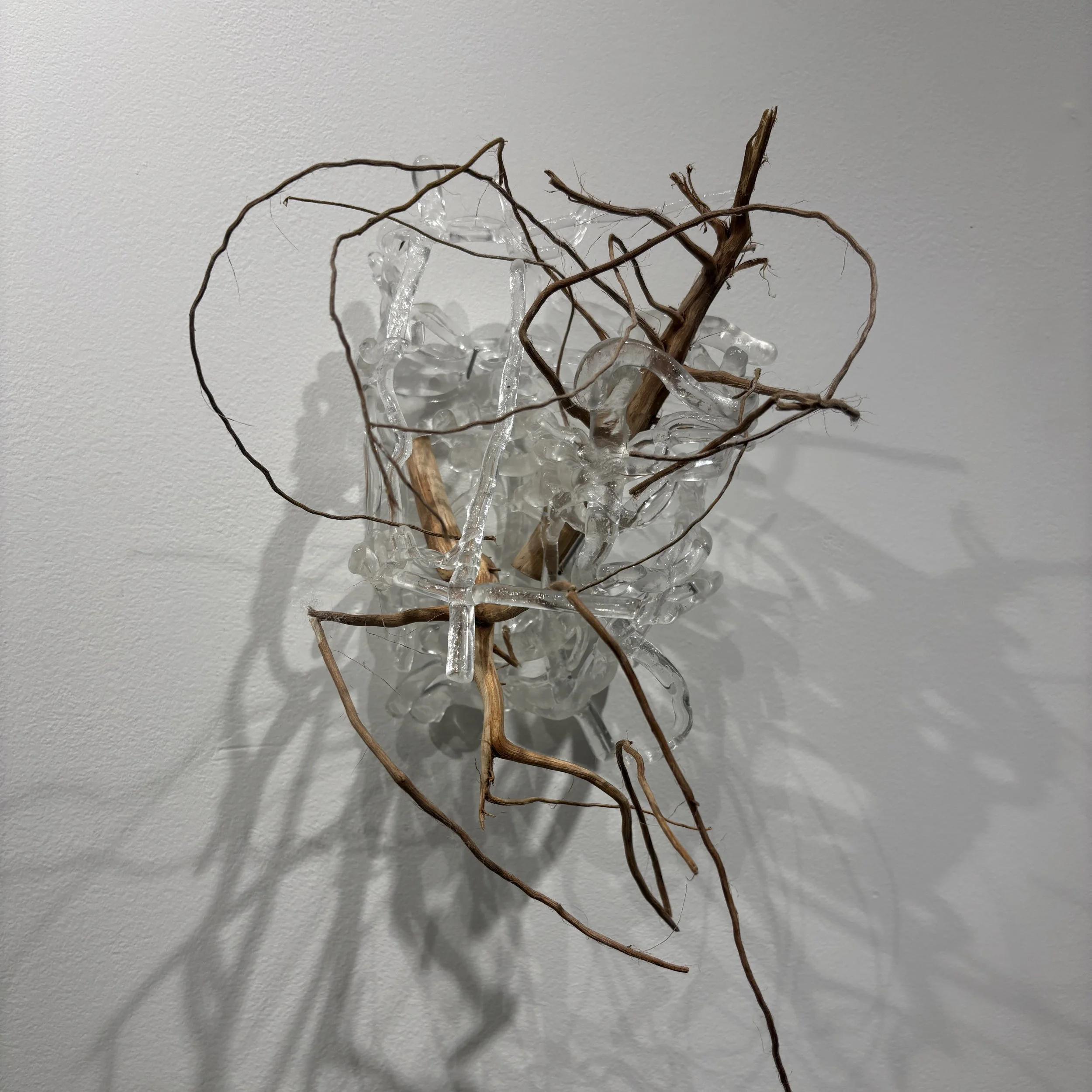 "Cotton Root Wall Weave" by Caitlin Ezell Waugh "275