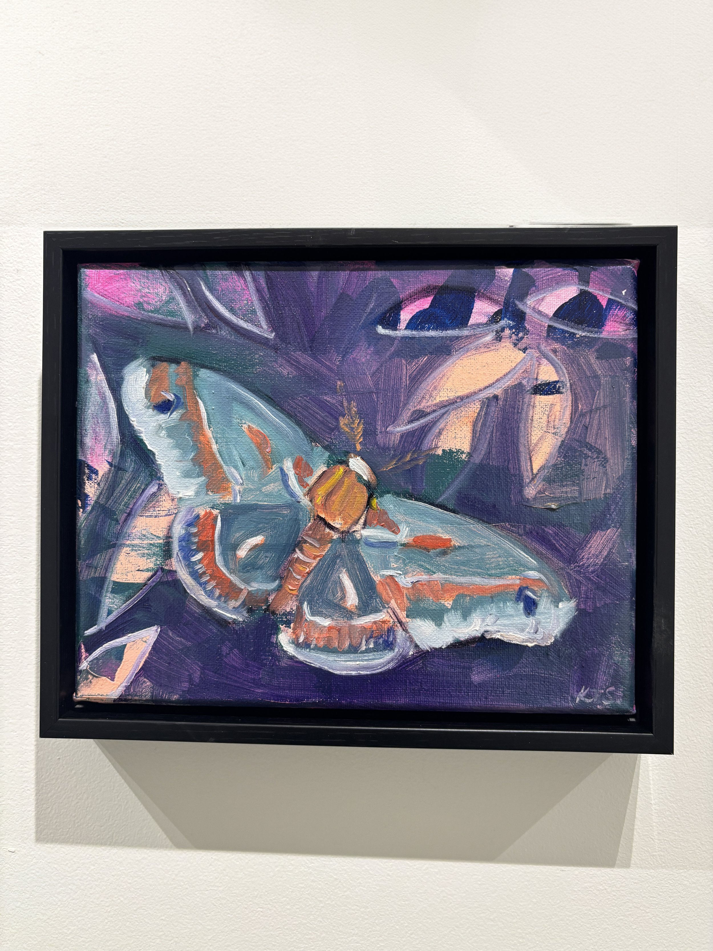 "Cecropia at Dusk" $200
8x10