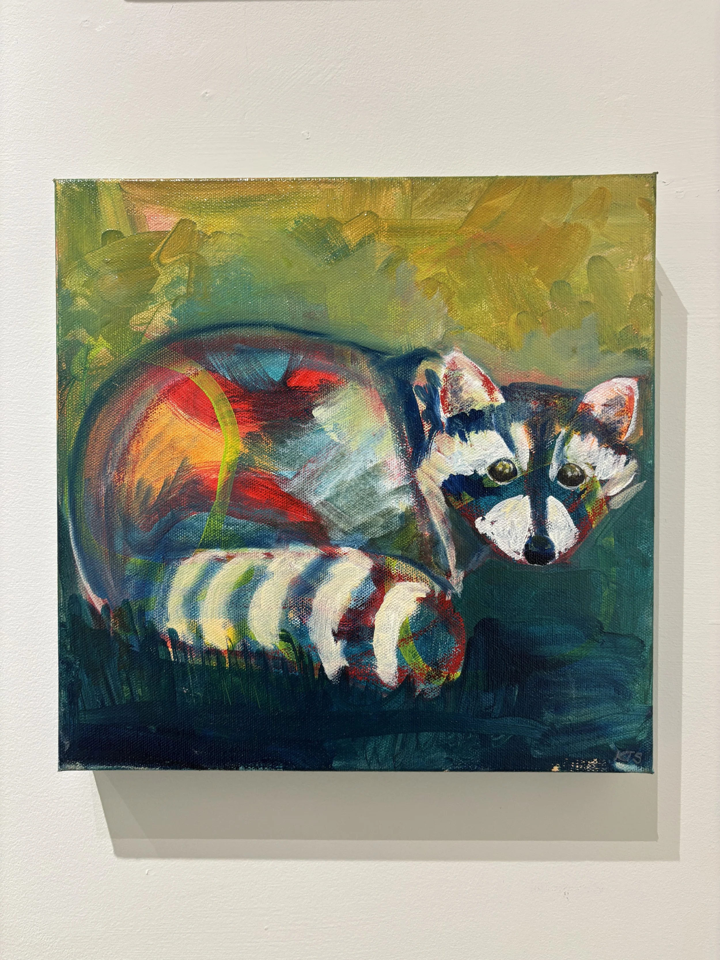 "Curious Raccoon" $300
12x12