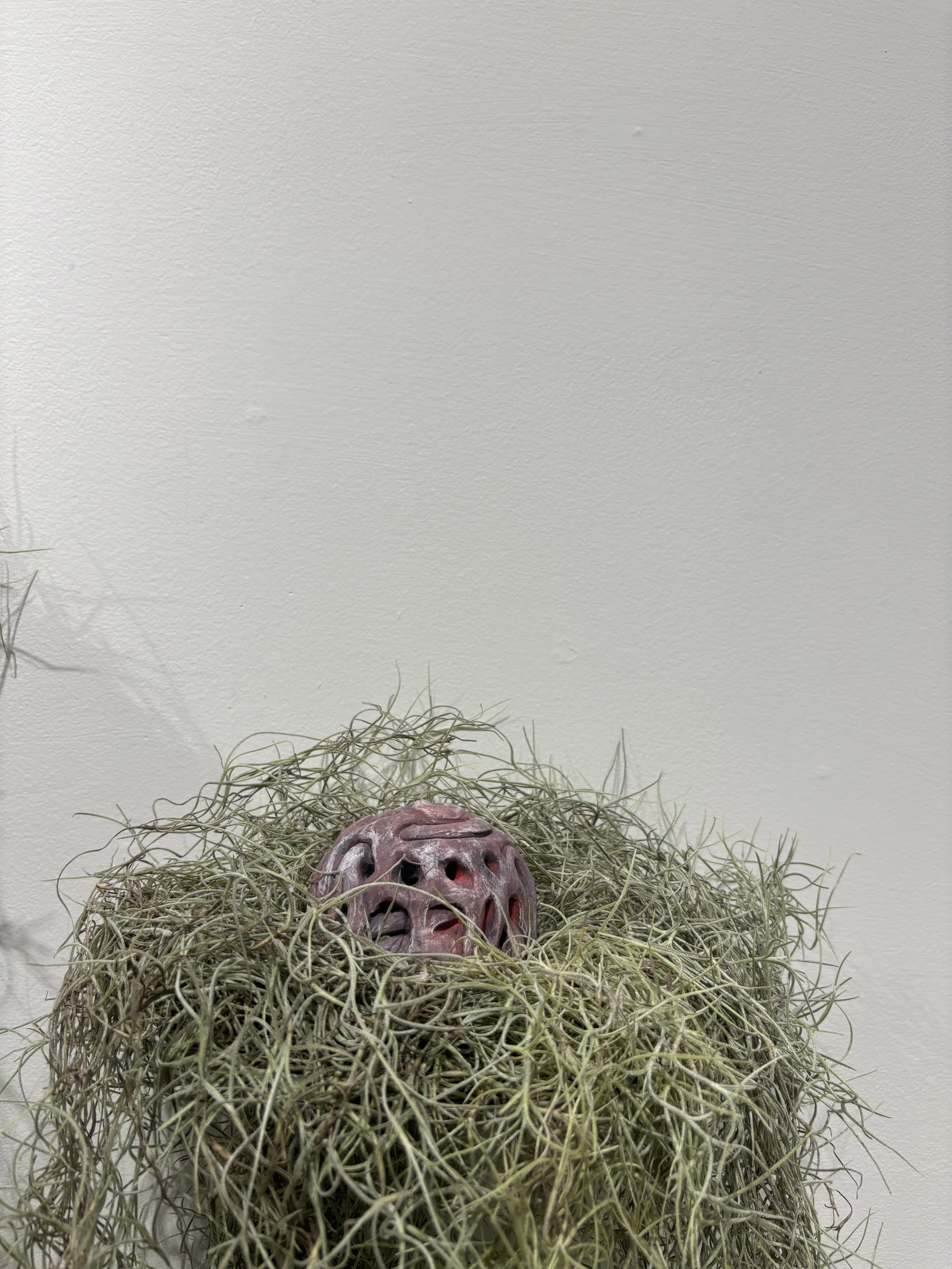 "Dream Anemone" $200