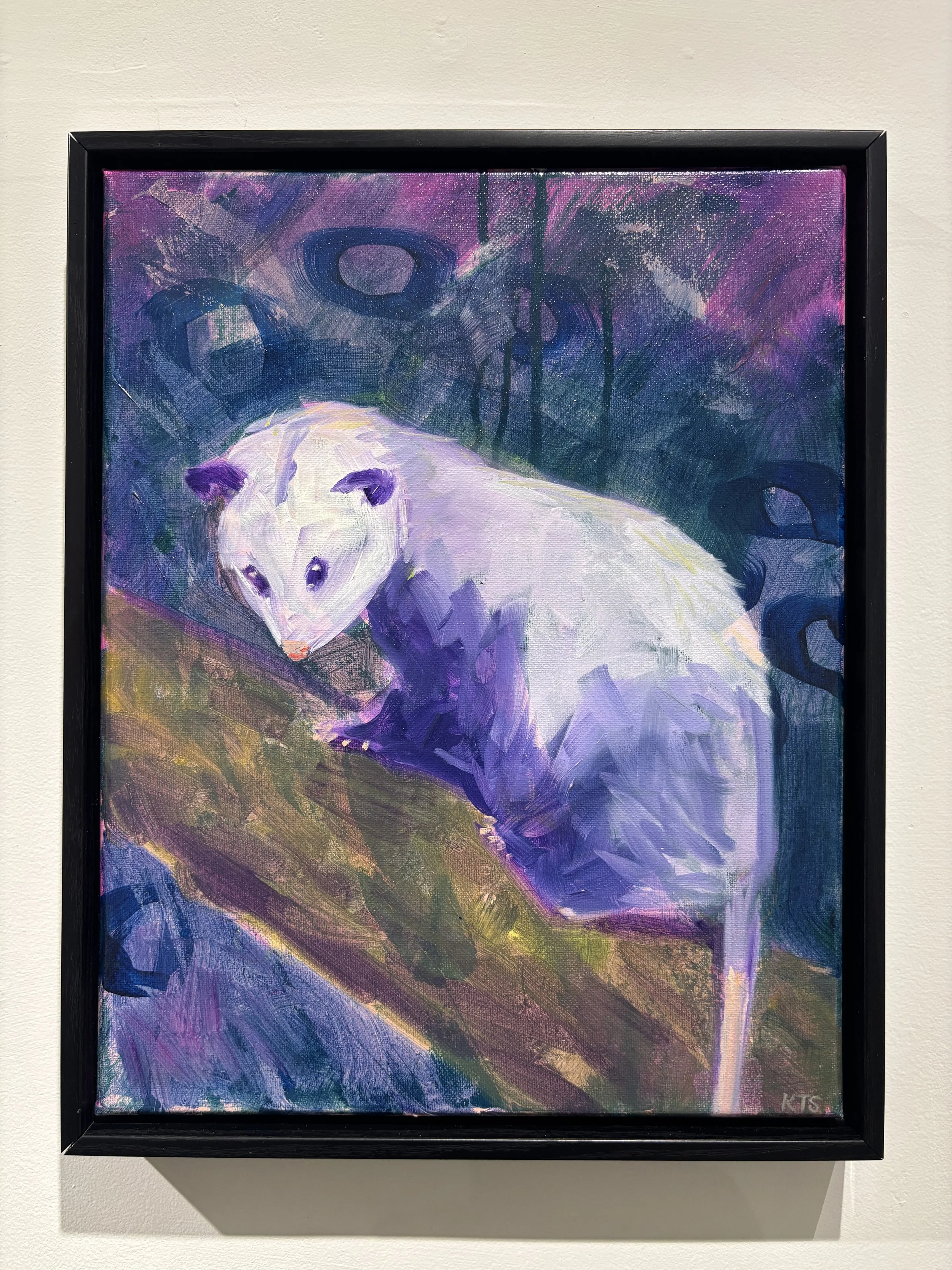 "Opossum" $350
11x14