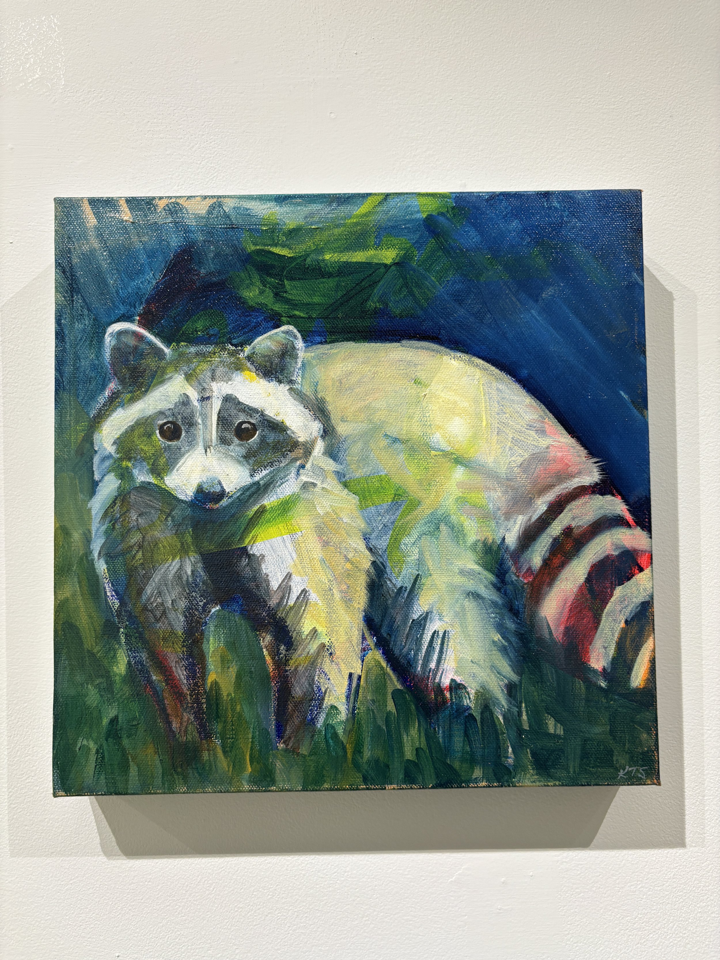 "Nighttime Raccoon" $300
12x12
