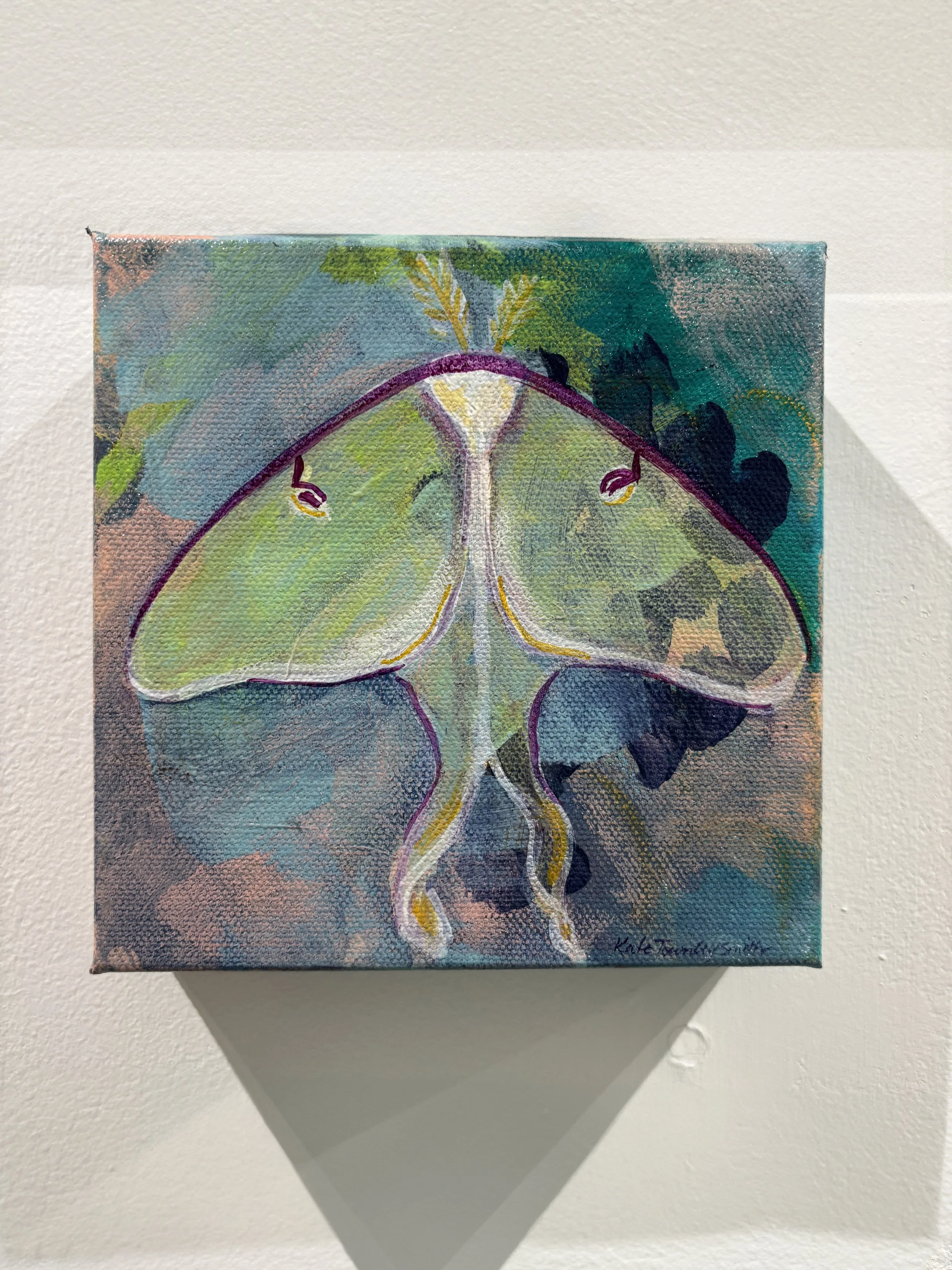 "Resting Luna" $125
6x6