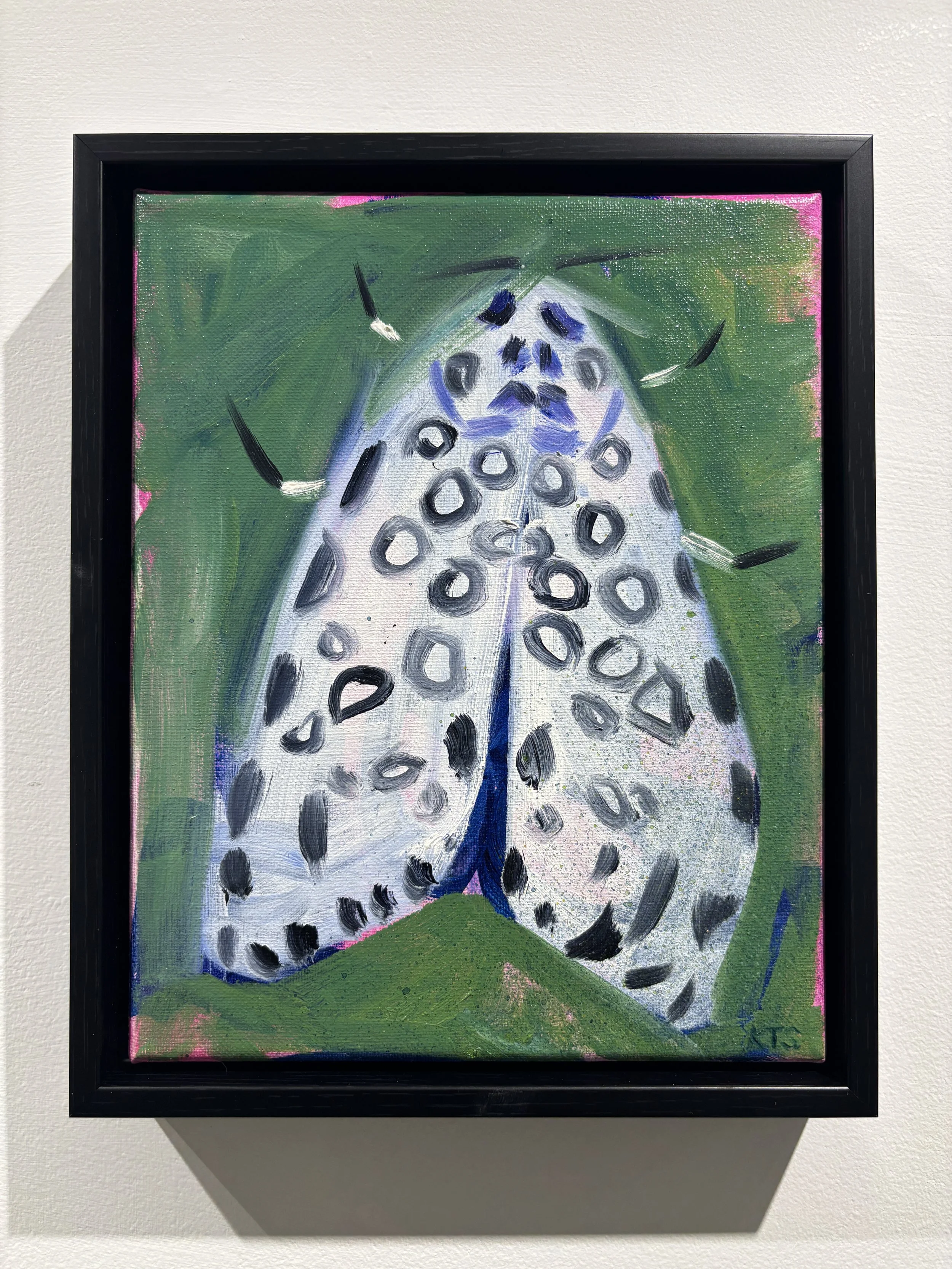 "Leopard Moth" $200
8x10