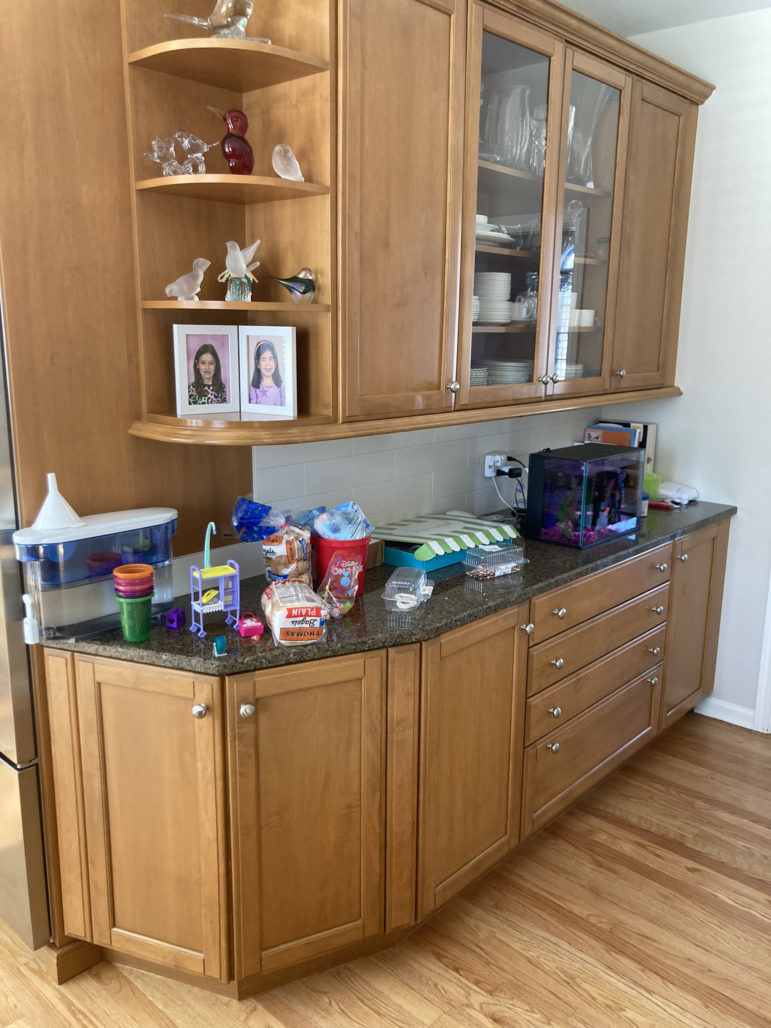 Traditional Kitchen Remodel by Dave Paints Kitchens — Project 1 project photo 2