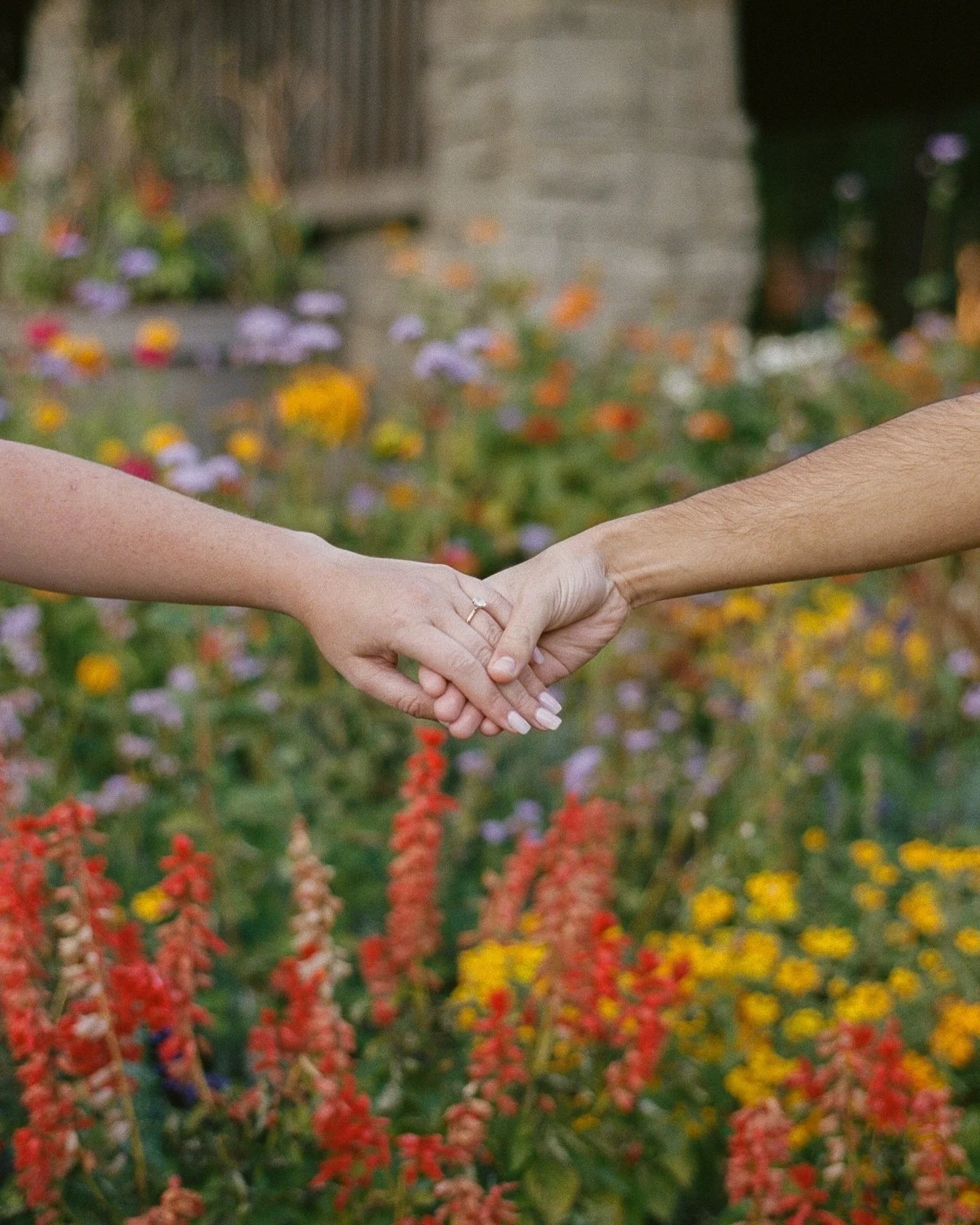 christina and david!!!! 

~ we chatted, caught up, and laughed endlessly 💌

scan and develop ~ @c41filmlabs 

#engaged #engagementphotography #toronto #torontophotographer #torontofilmphotographers