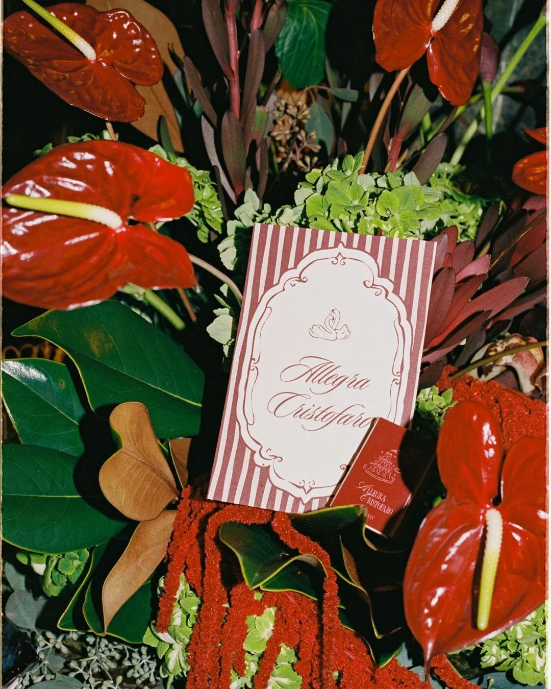 Allegra&rsquo;s baptism

~ Allegra wore a replica of her grandmothers wedding dress that her great grandmother had made for a memory!! Such a meaningful touch. 

#35mm #120 #portra400 #toronto #torontofilmphotographers #onfilm