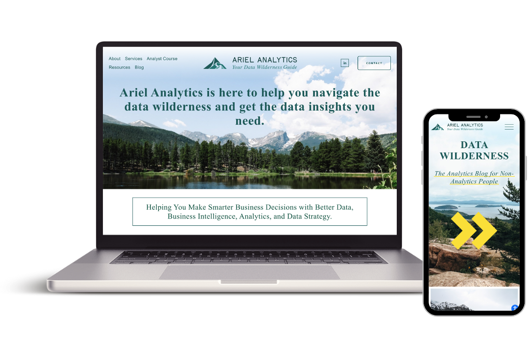 Website displayed on a laptop and smartphone screens, promoting Ariel Analytics with a nature mountain and lake background, emphasizing data wilderness and business insights.