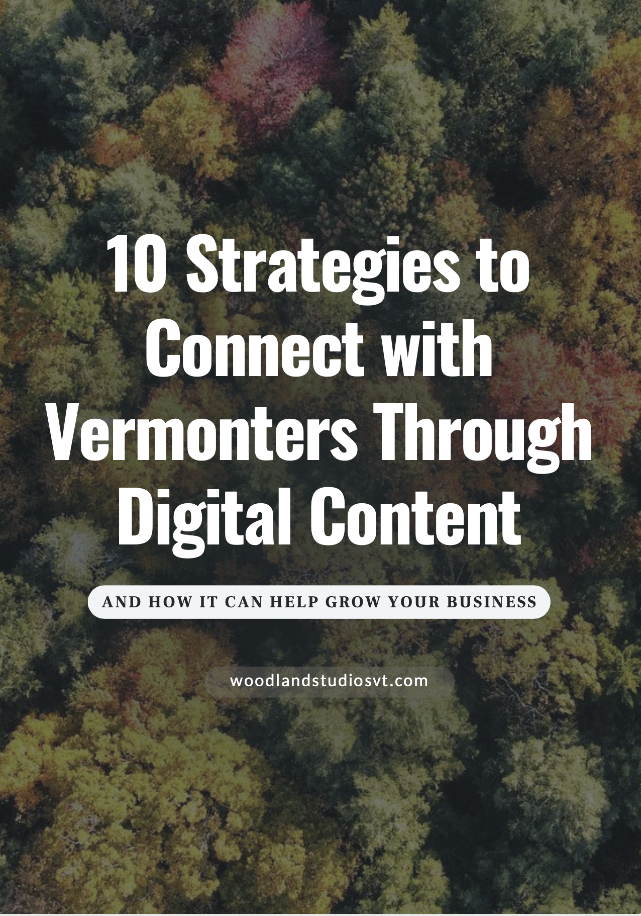 An aerial view of a forest with trees in various shades of green, yellow, orange, and red, representing autumn.