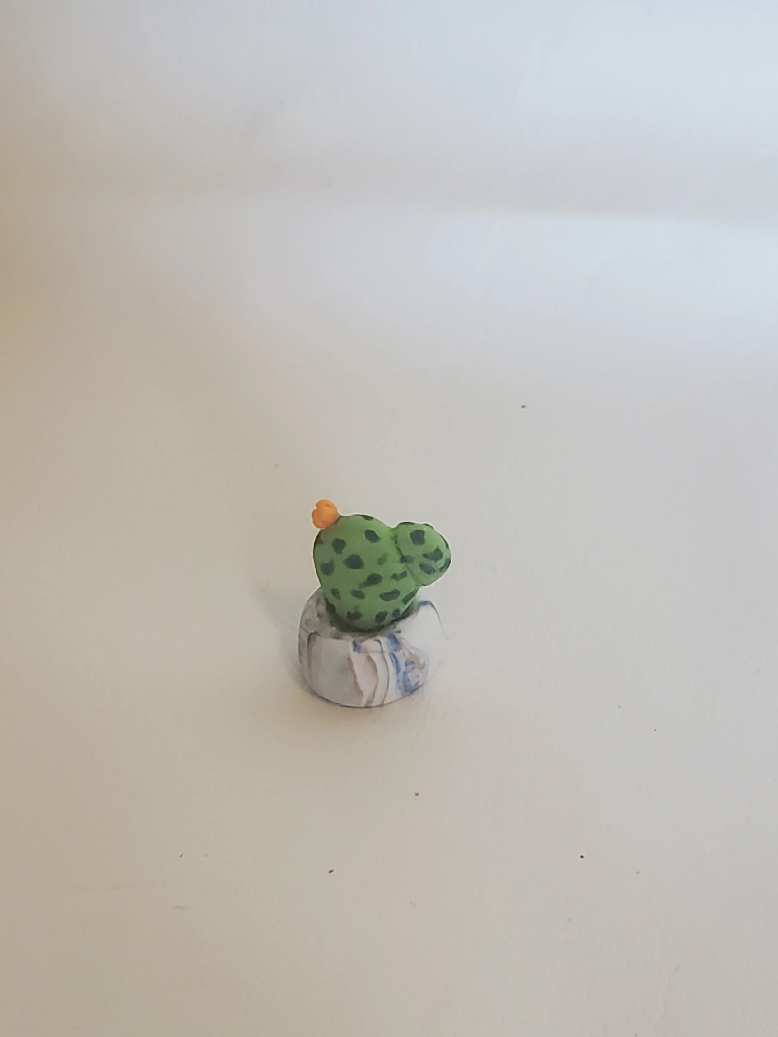 20260301_155730.jpg