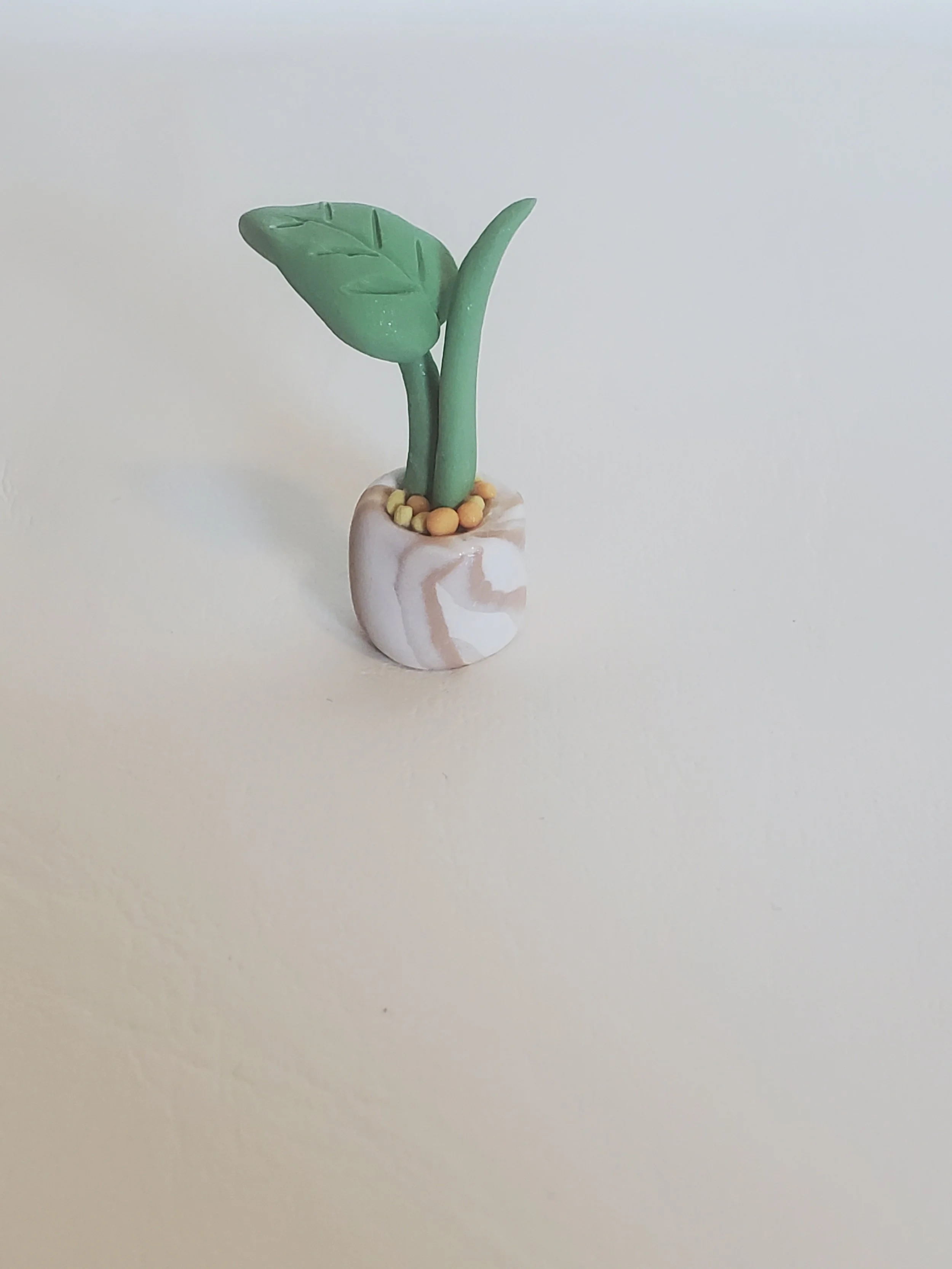 20260301_160552.jpg
