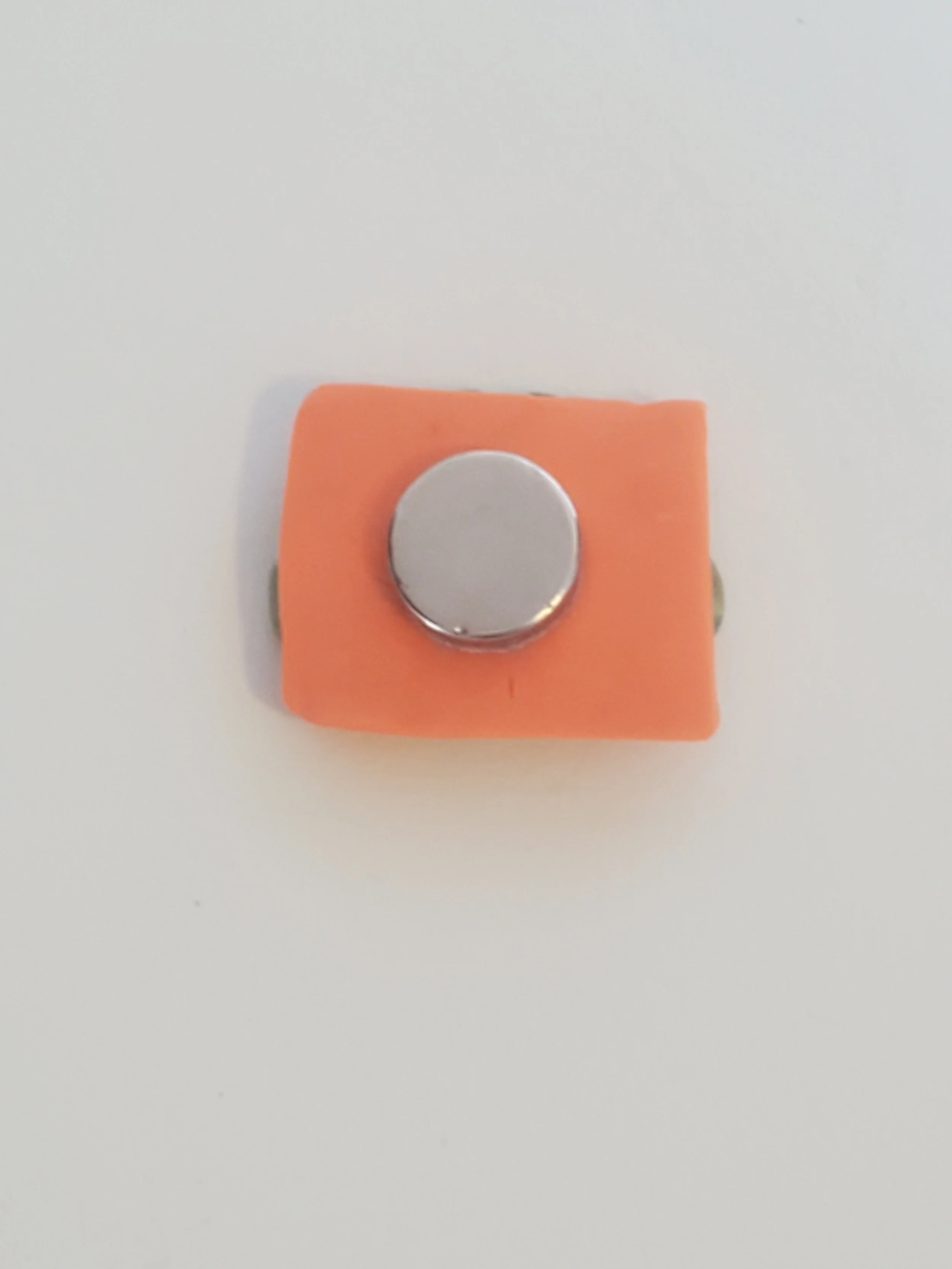 20260301_154920.jpg