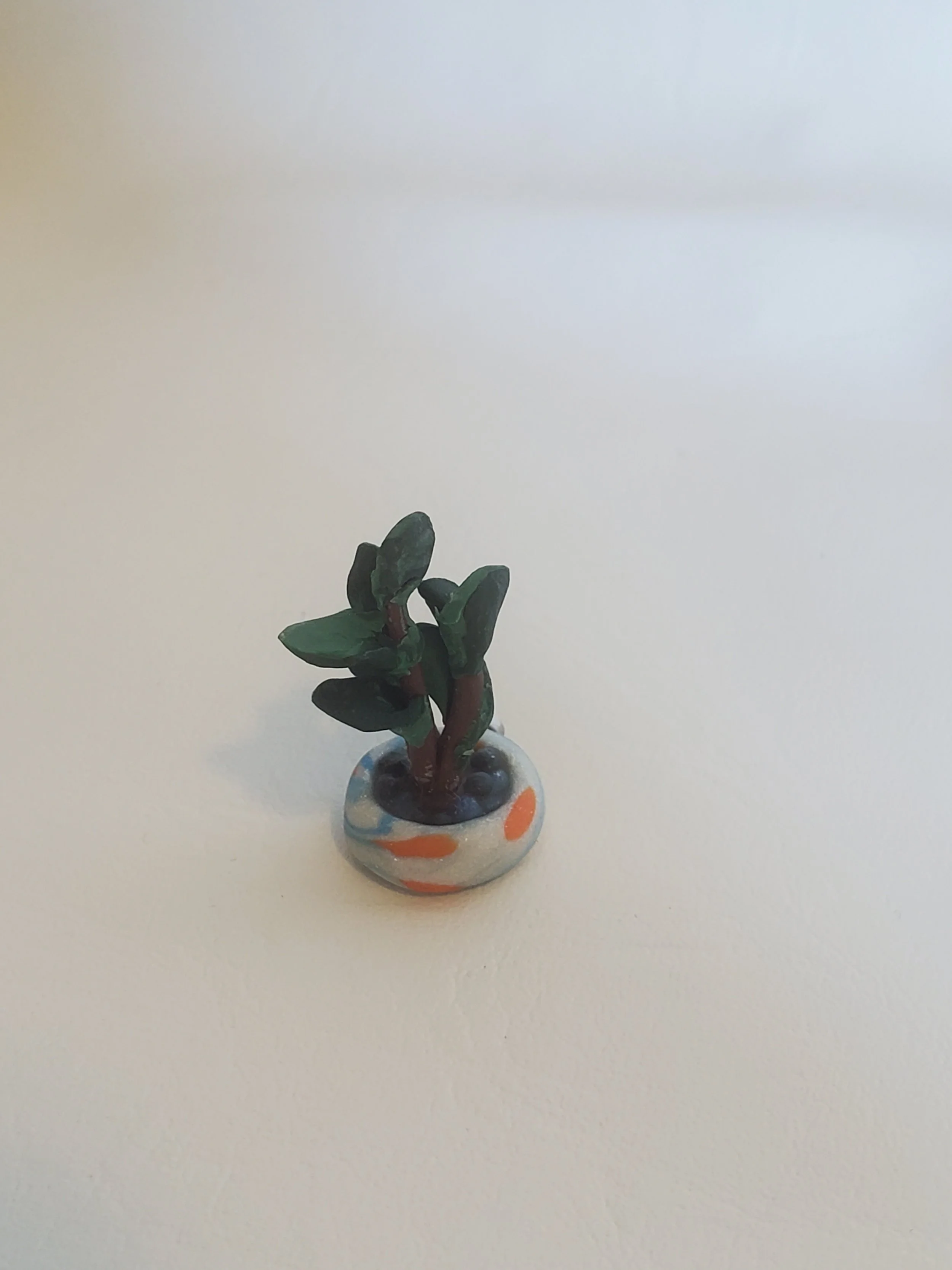 20260301_160333.jpg