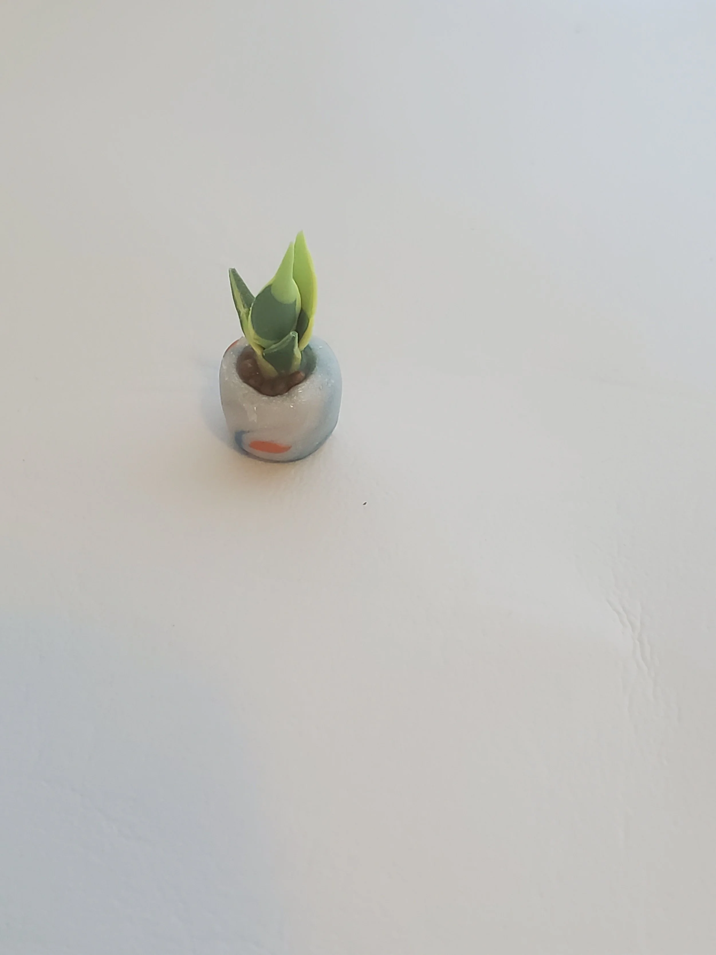 20260301_160348.jpg