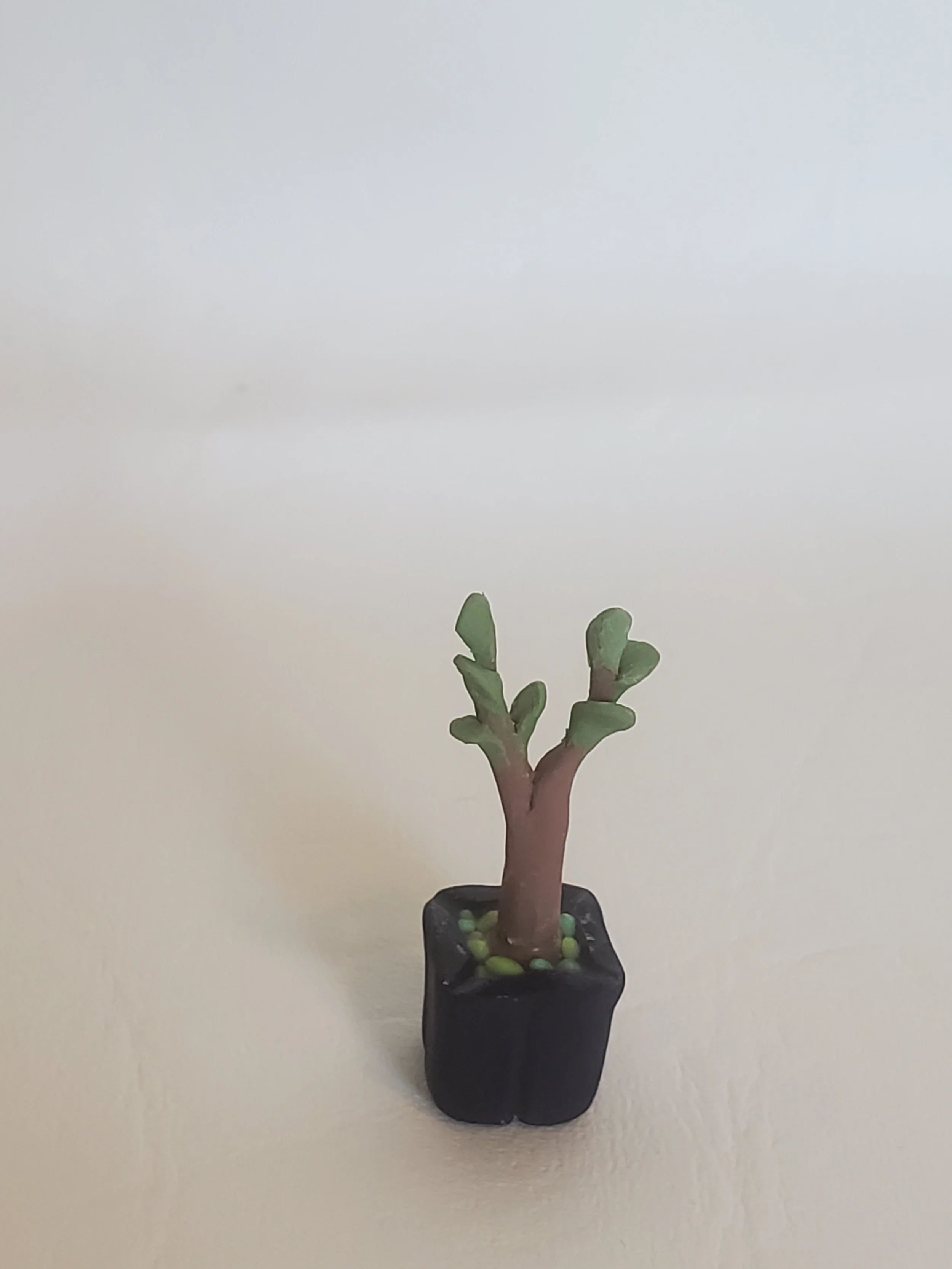 20260301_160015.jpg