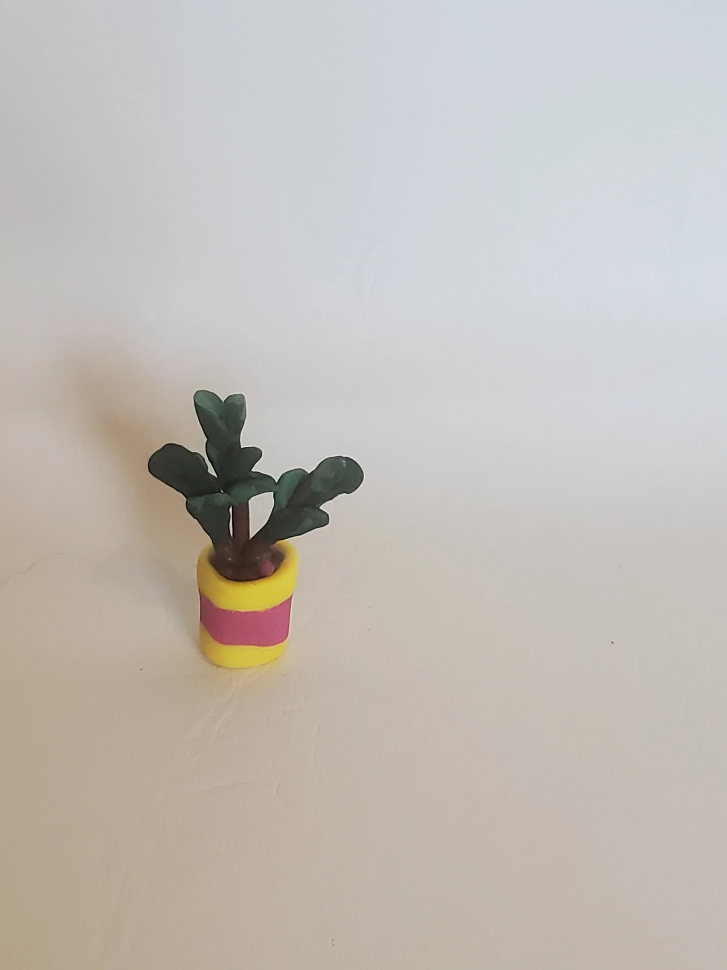 20260301_155450.jpg