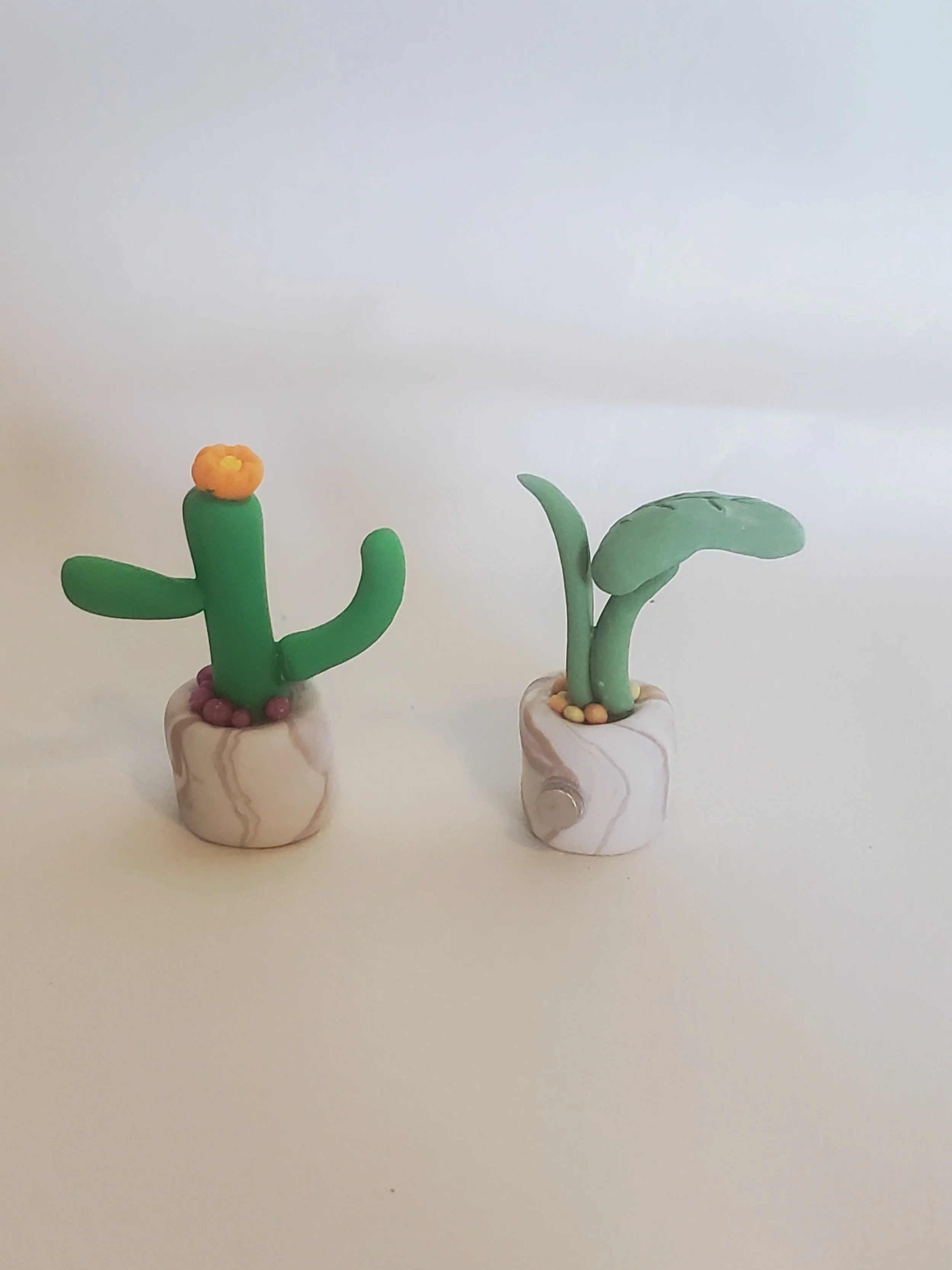 Soft Stone Swirl Miniature Clay Plant Magnets - Set of 2