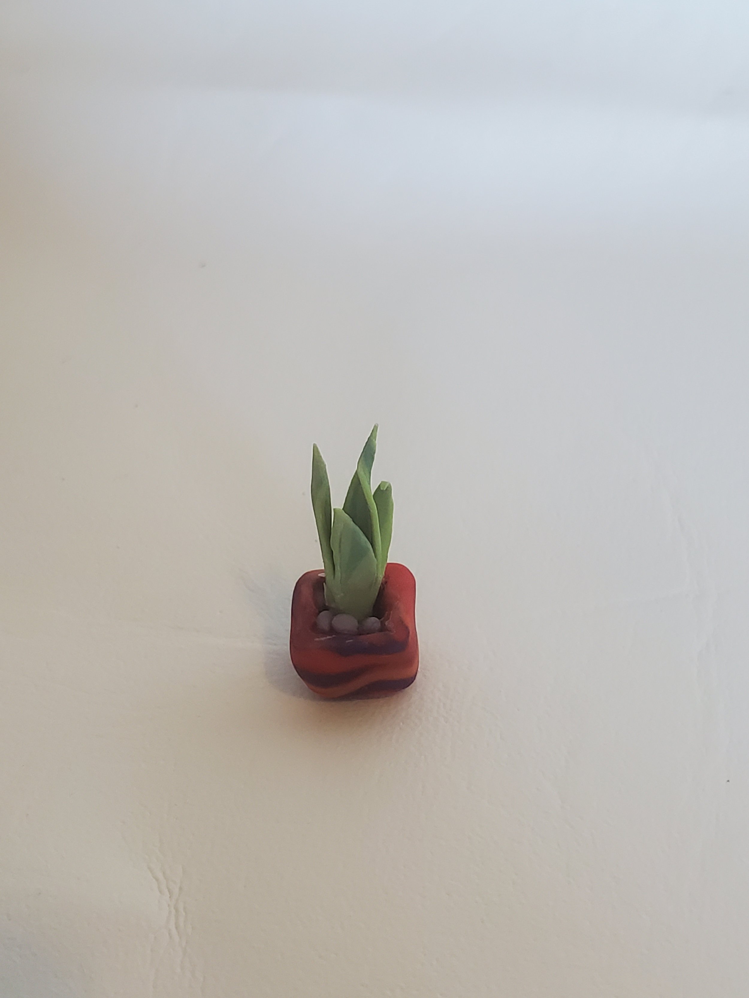20260301_160432.jpg