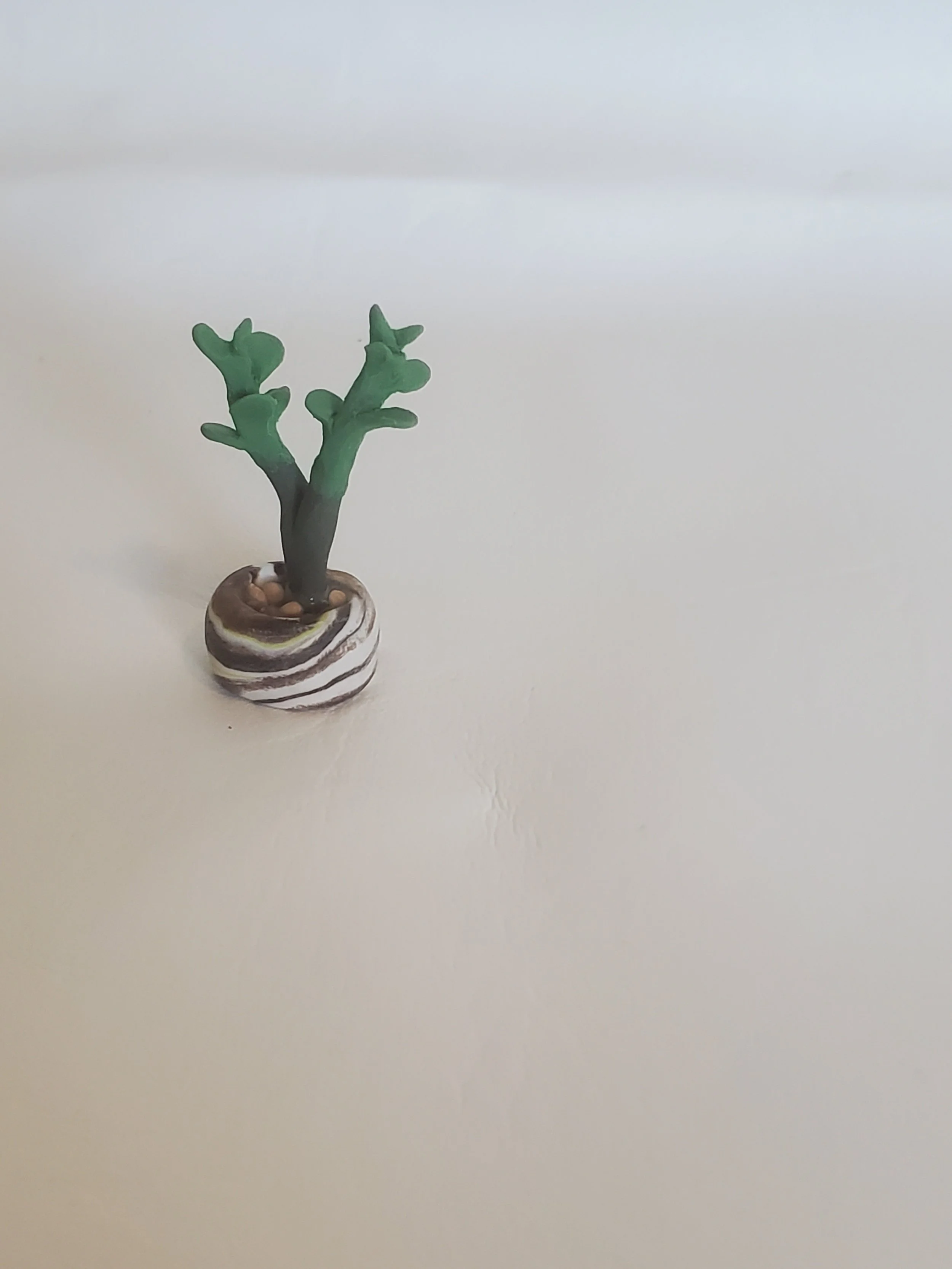 20260301_160523.jpg