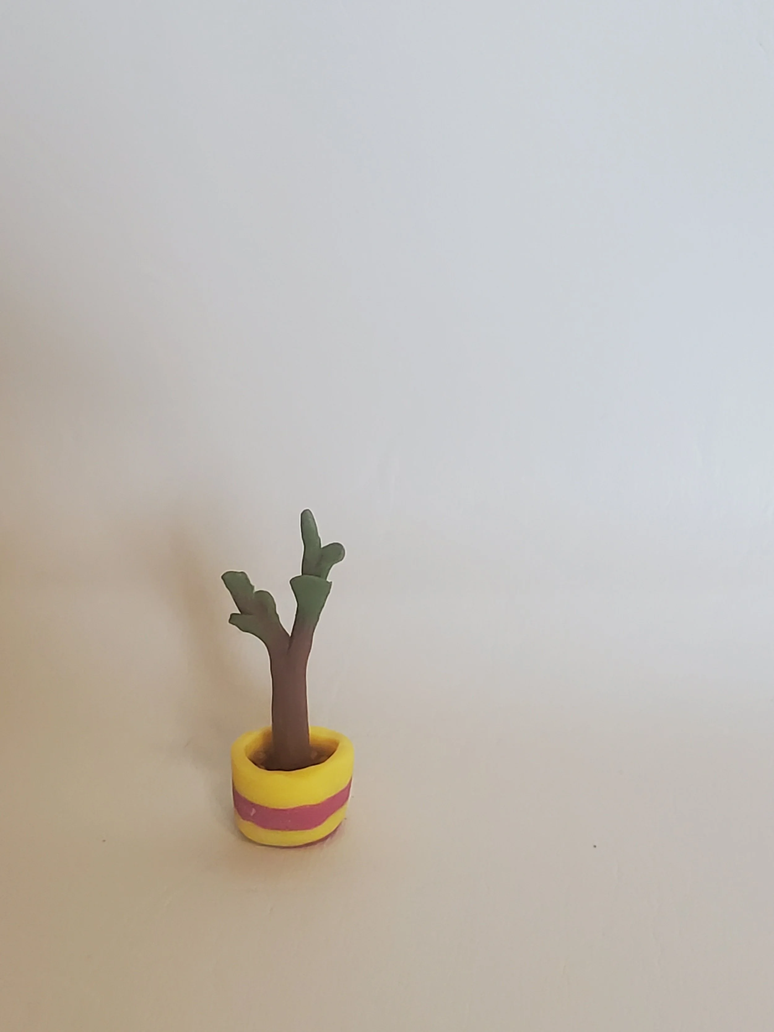20260301_155431.jpg