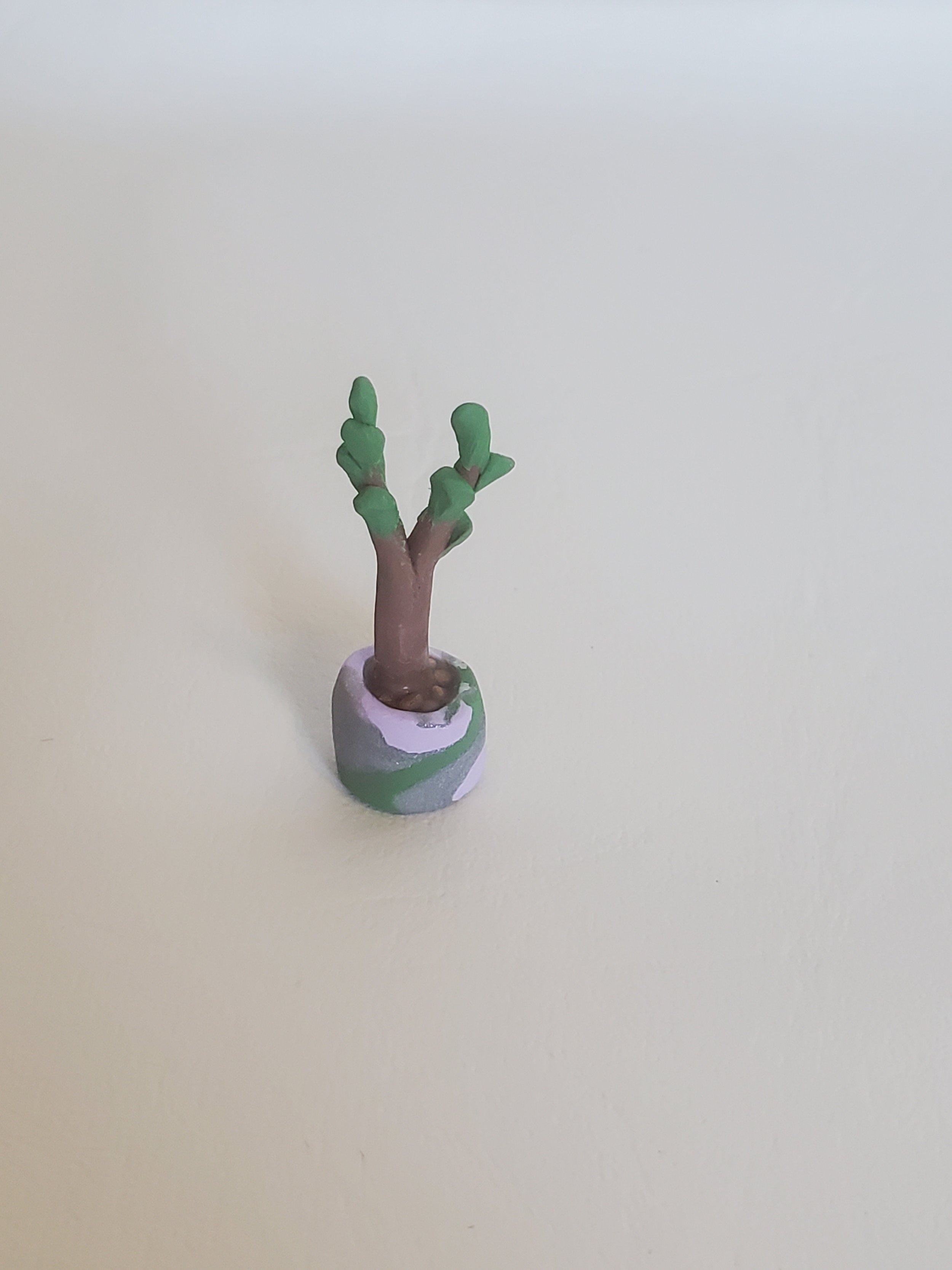 20260301_160222.jpg