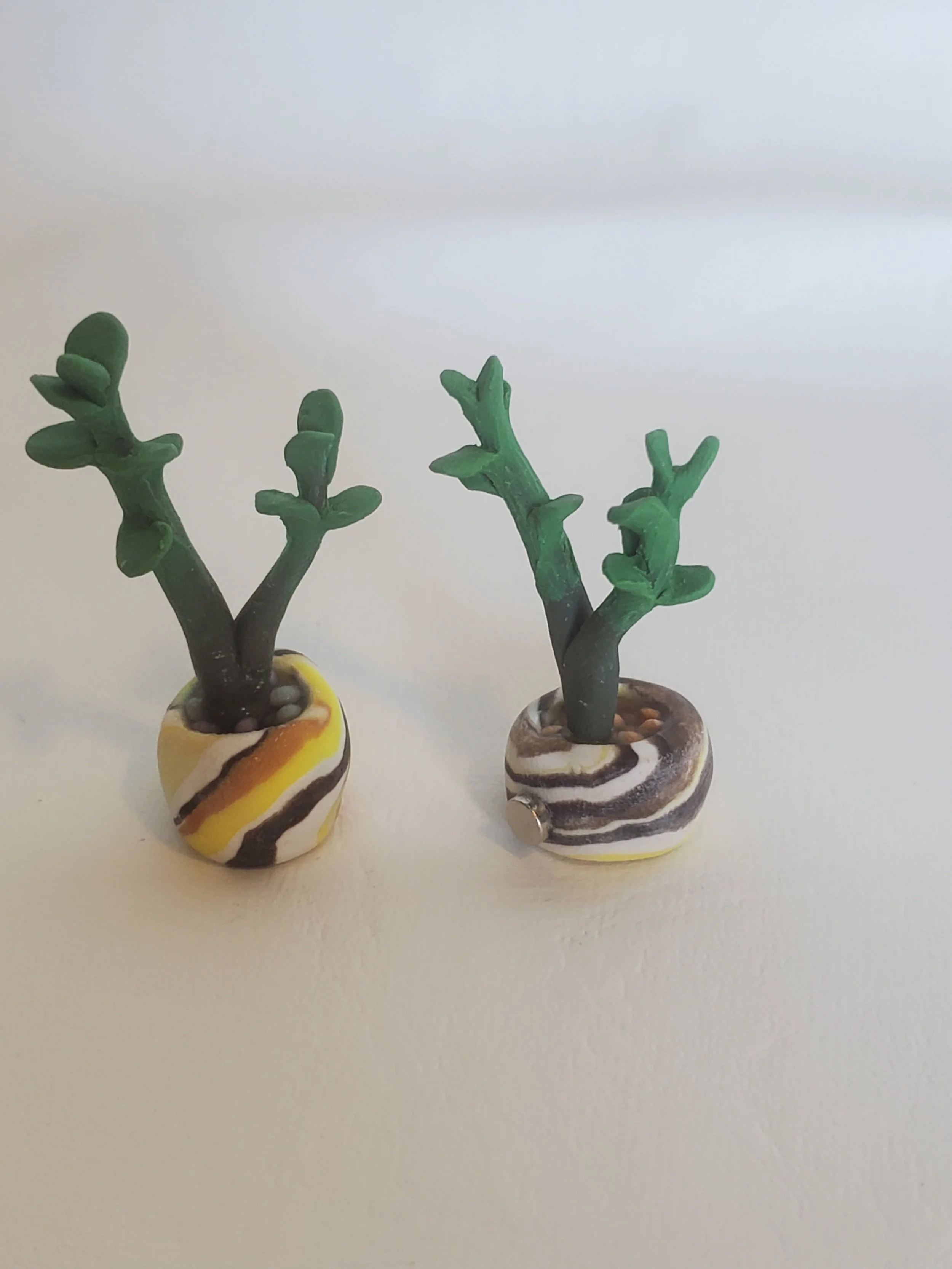 Chocolate Swirl Miniature Clay Plant Magnets - Set of 2