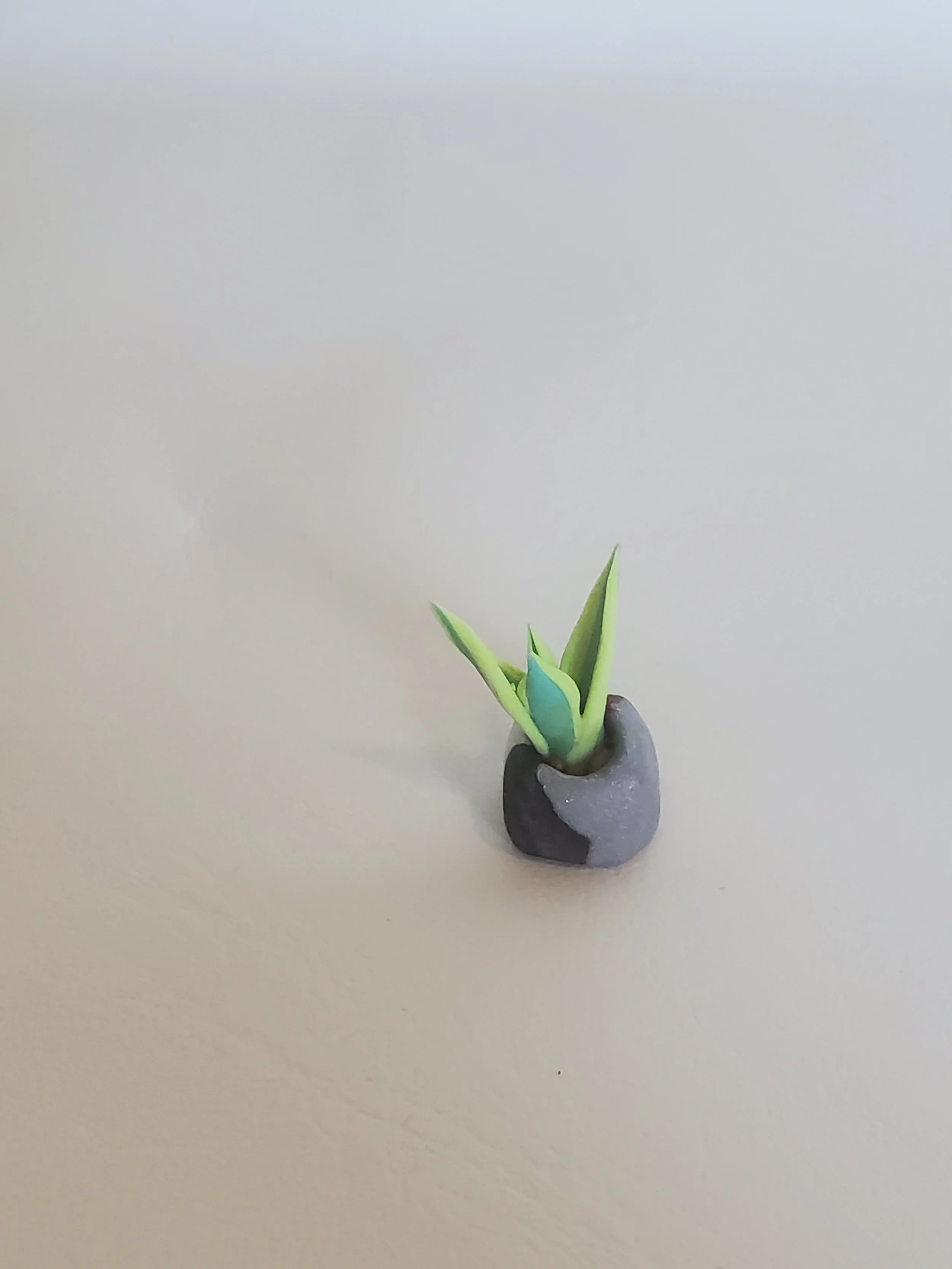 20260301_160649.jpg