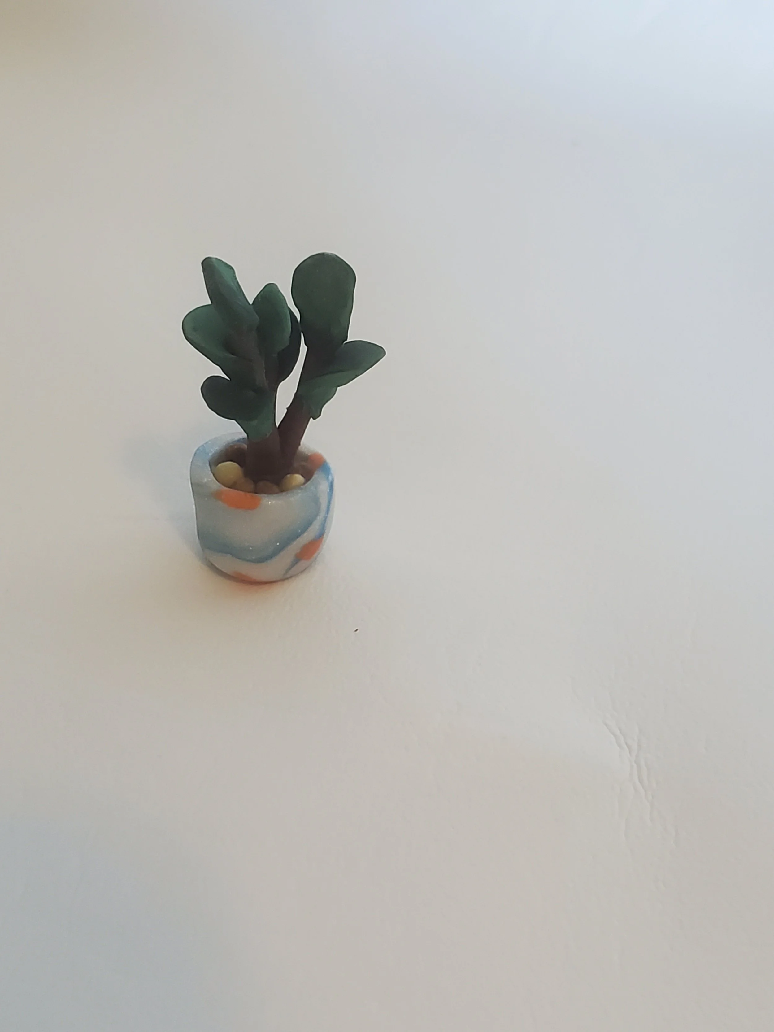 20260301_160354.jpg