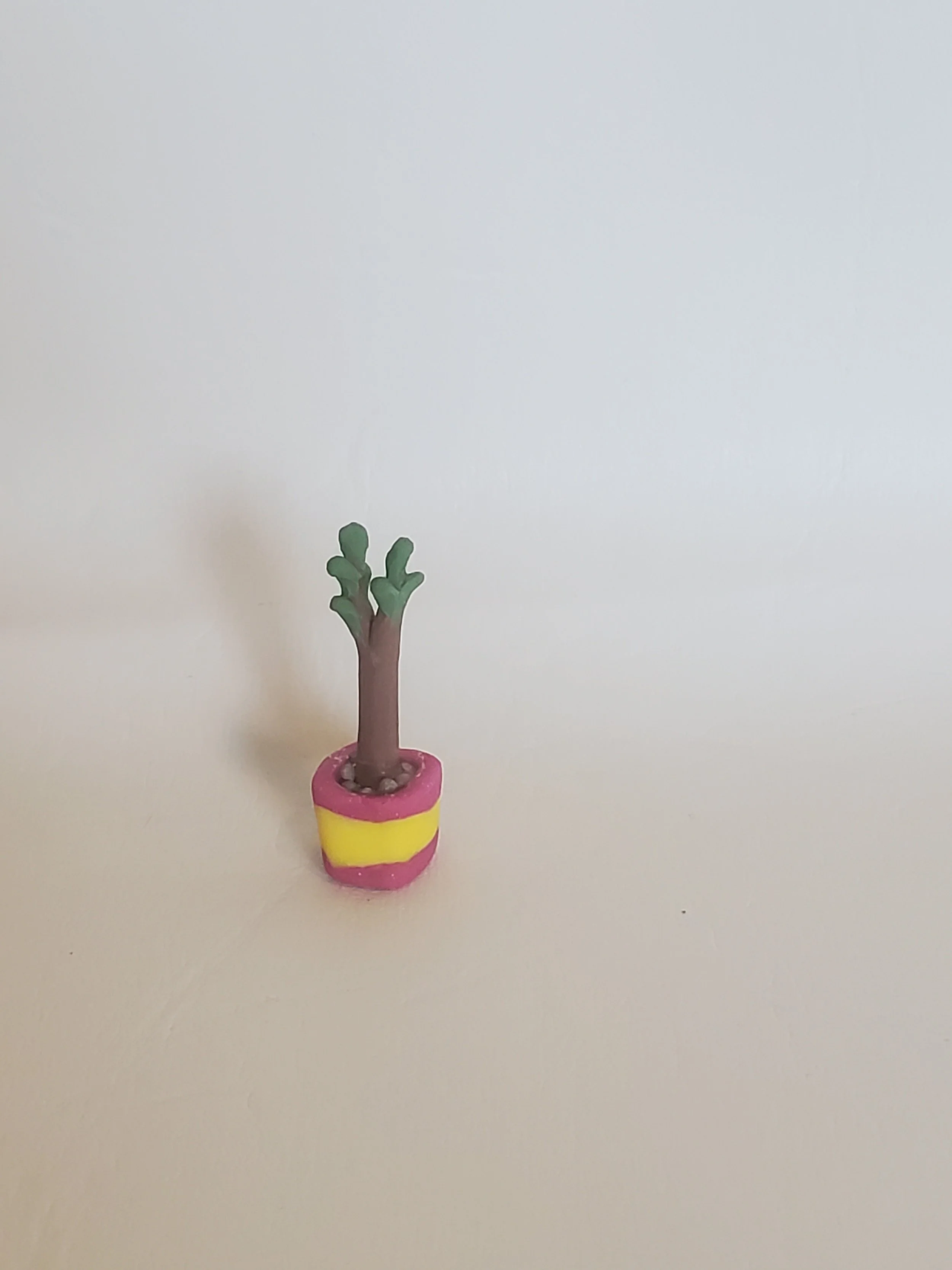 20260301_155405.jpg